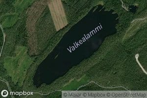 Valkealammi