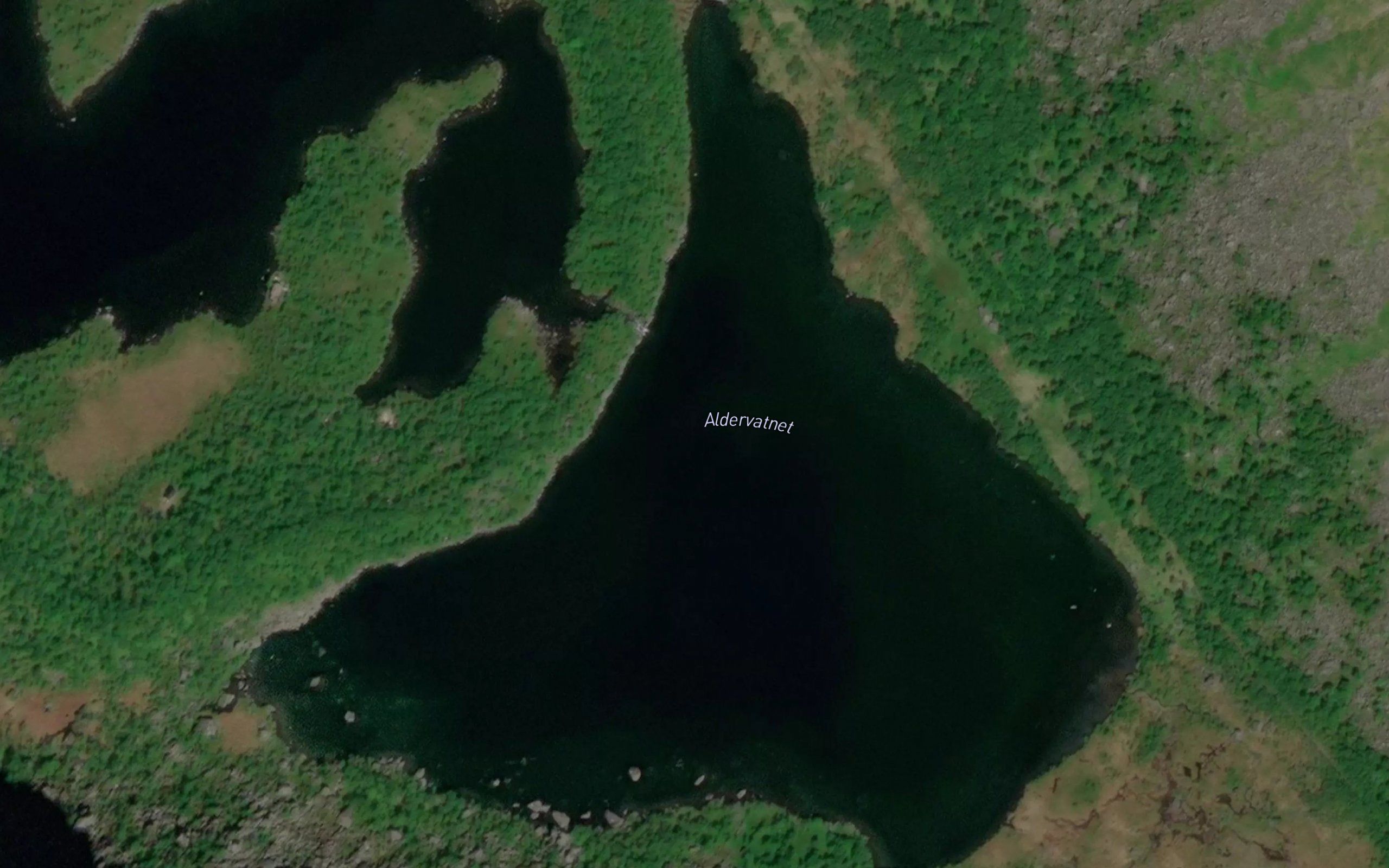 Aldervatnet