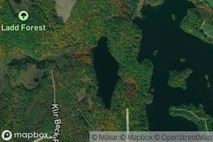 Black Pond