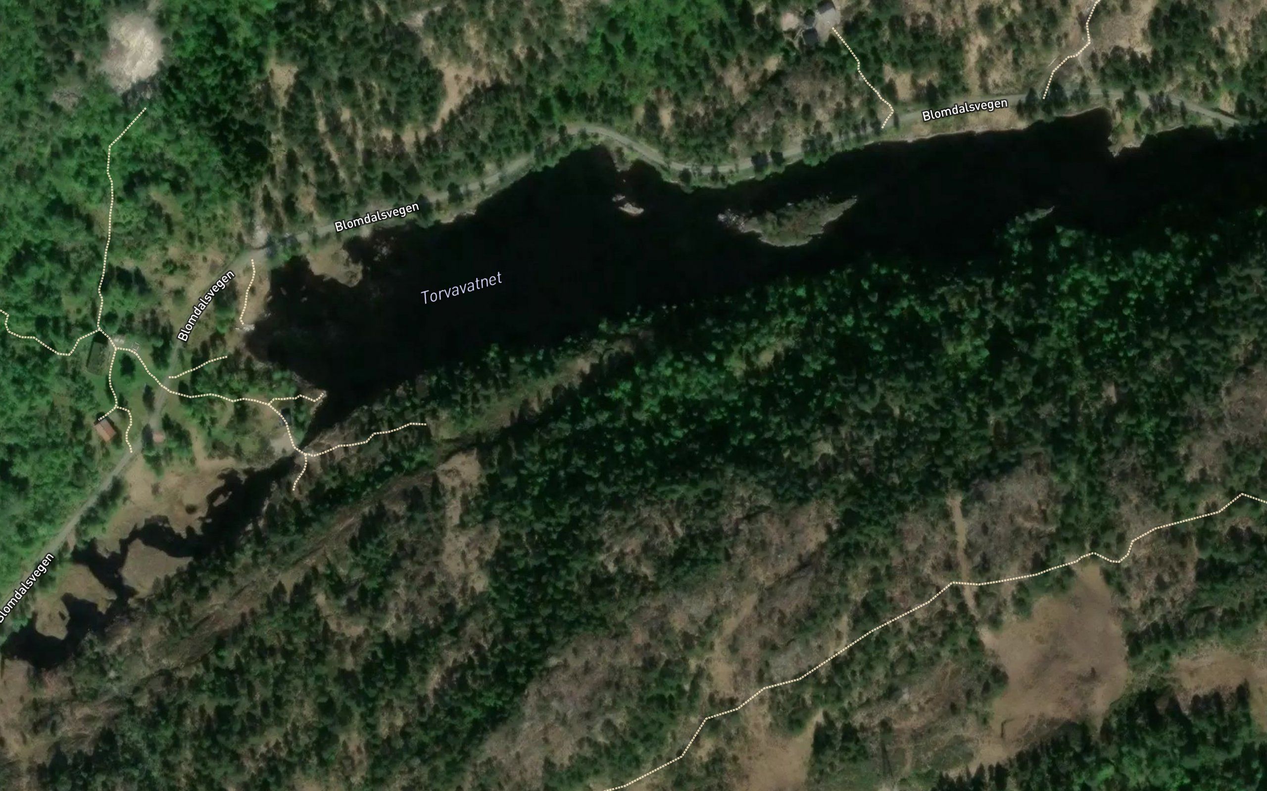 Torvavatnet