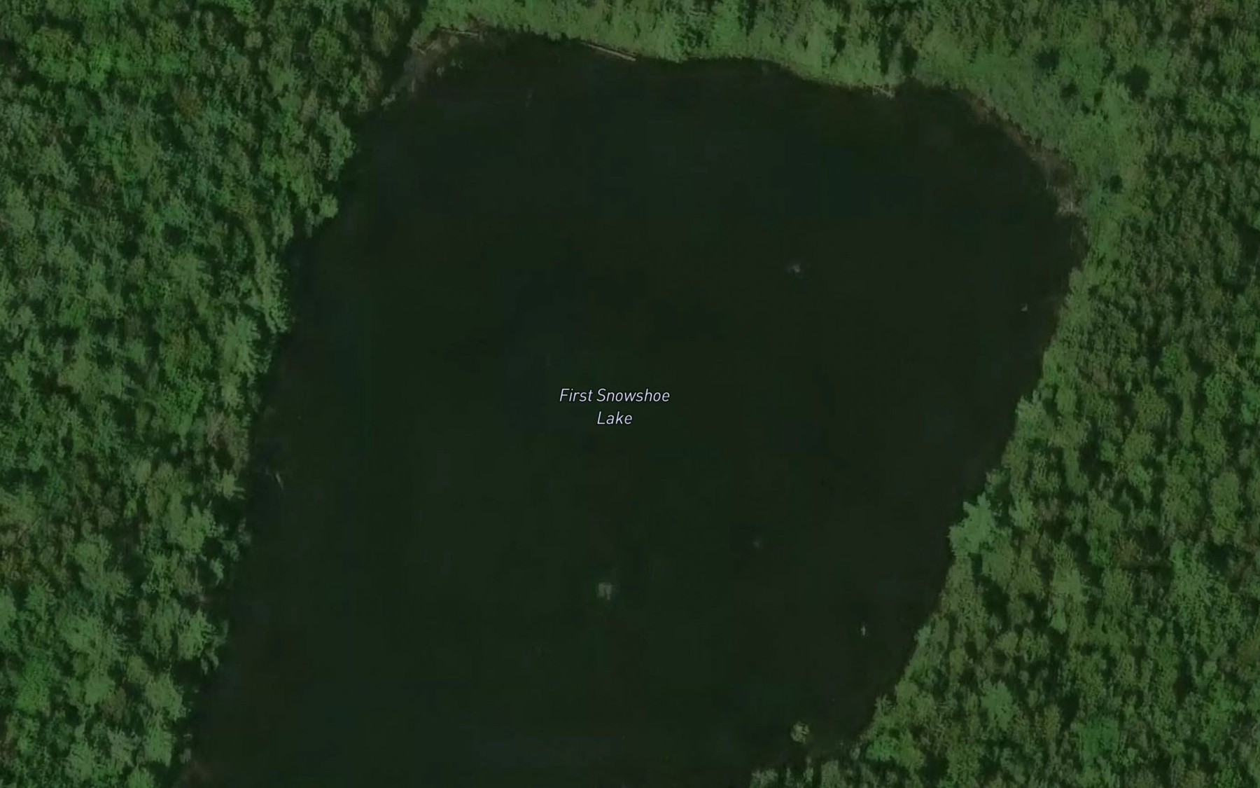 Satellite map of the First Snowshoe Lake