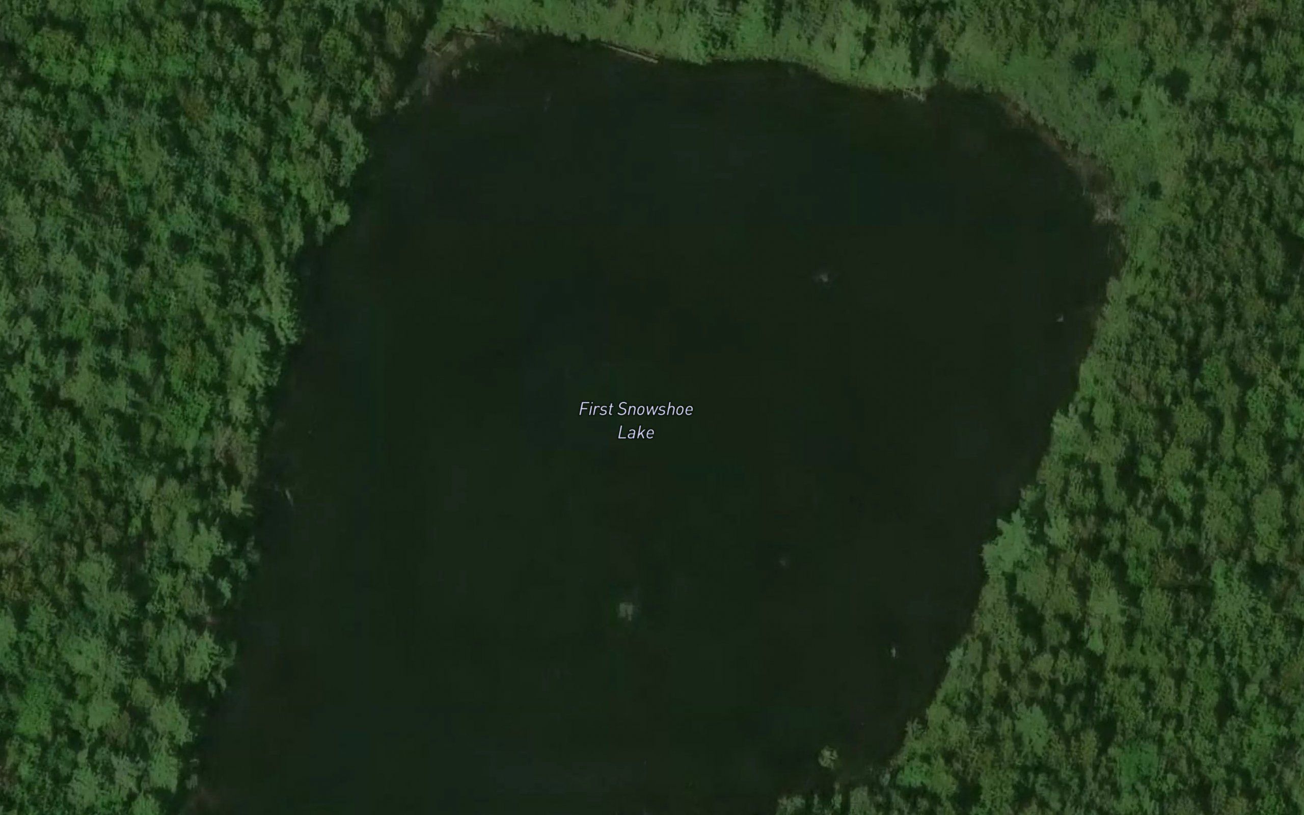 First Snowshoe Lake