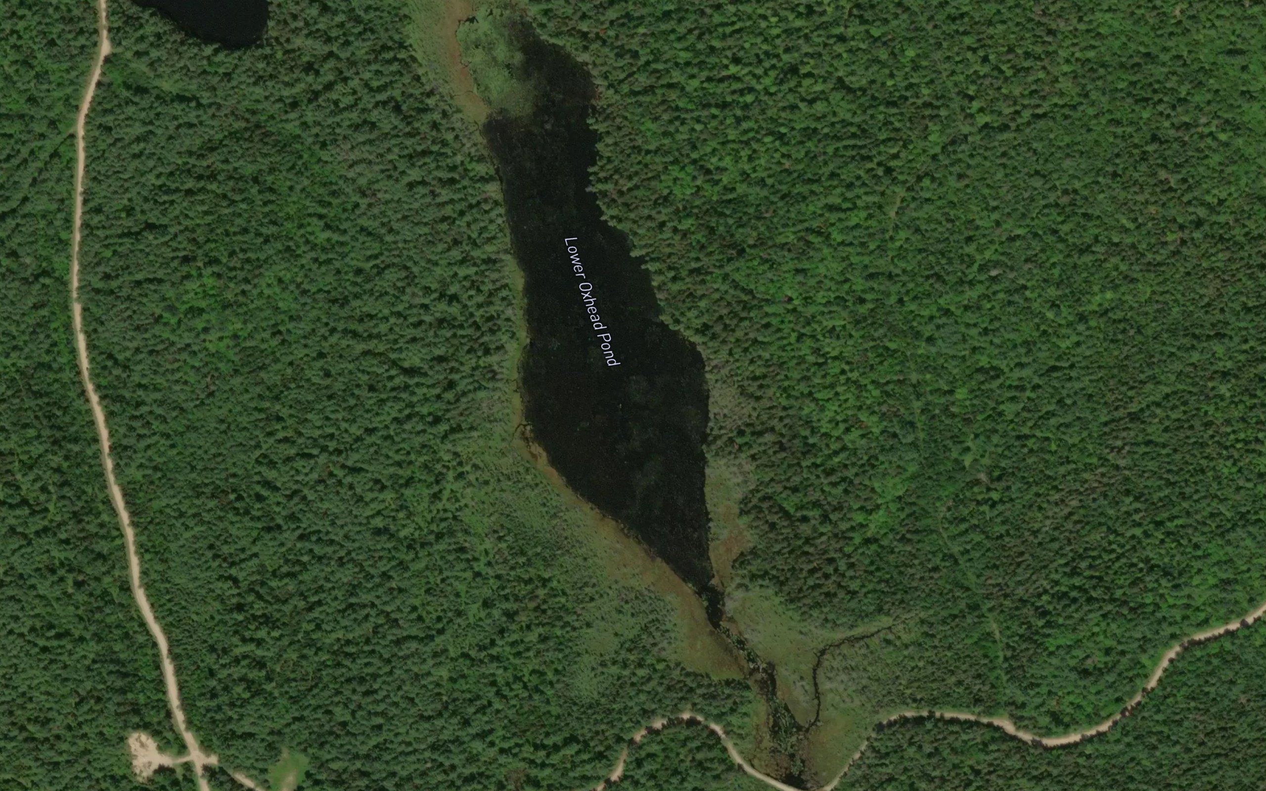 Lower Oxhead Pond