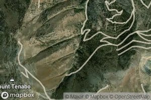 Goyeneche Spring Number Six