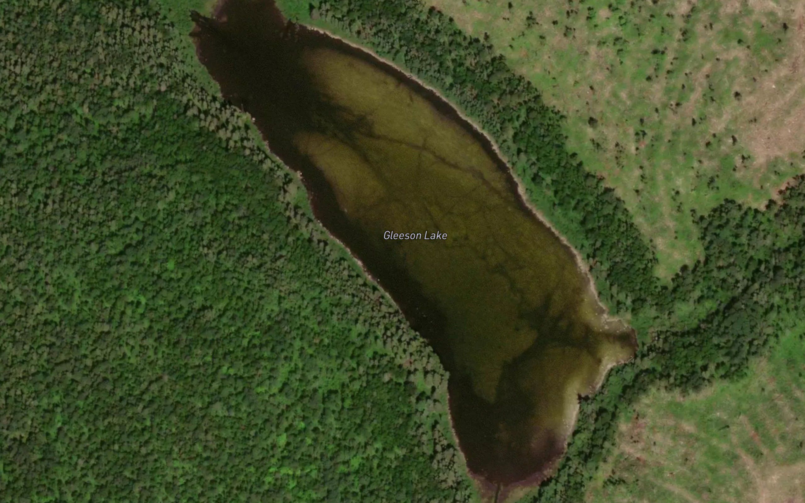 Gleeson Lake