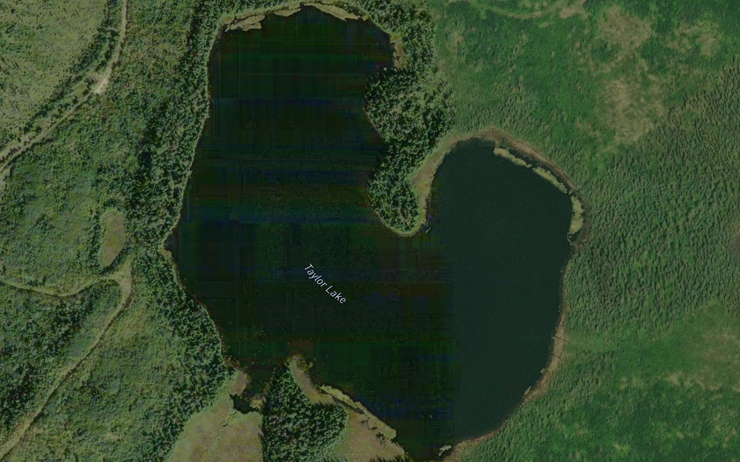 Taylor Lake