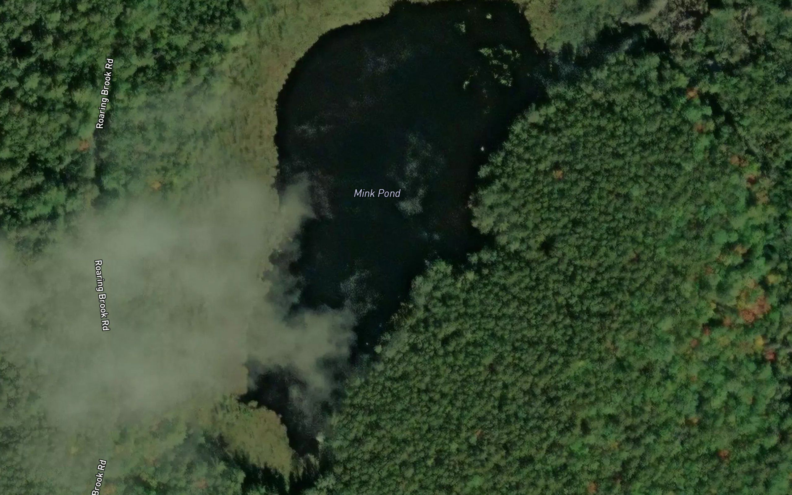 Mink Pond