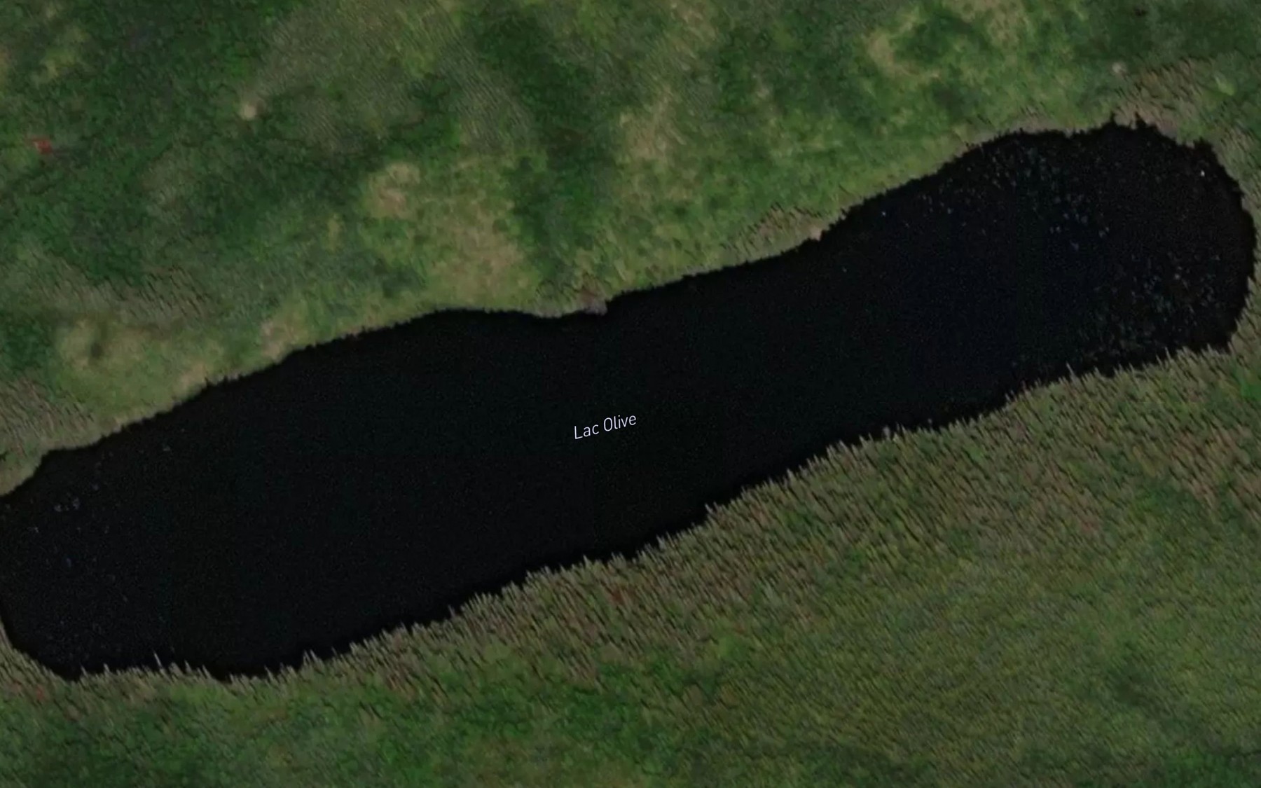 Satellite map of the Lac Olive