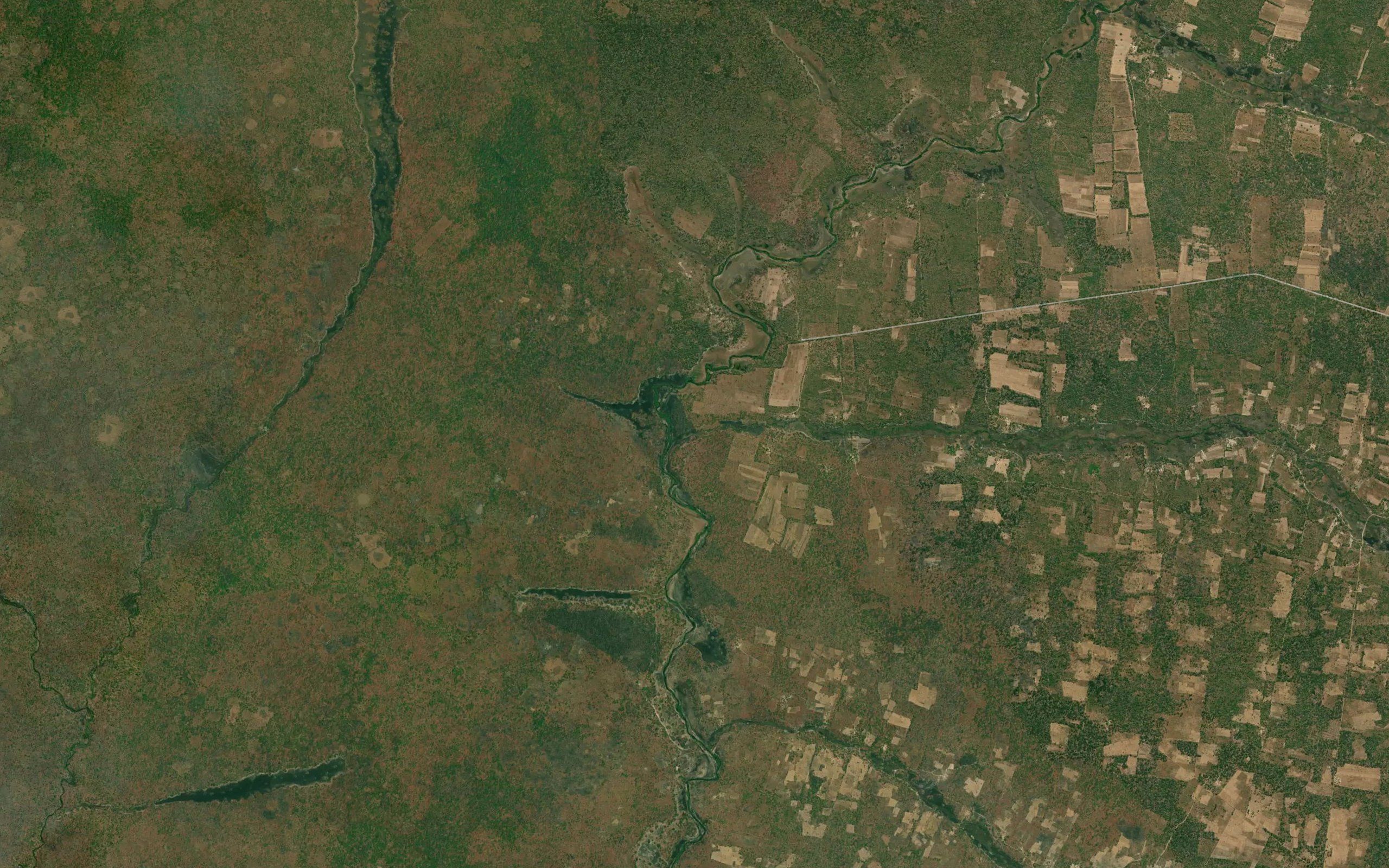 Munganga