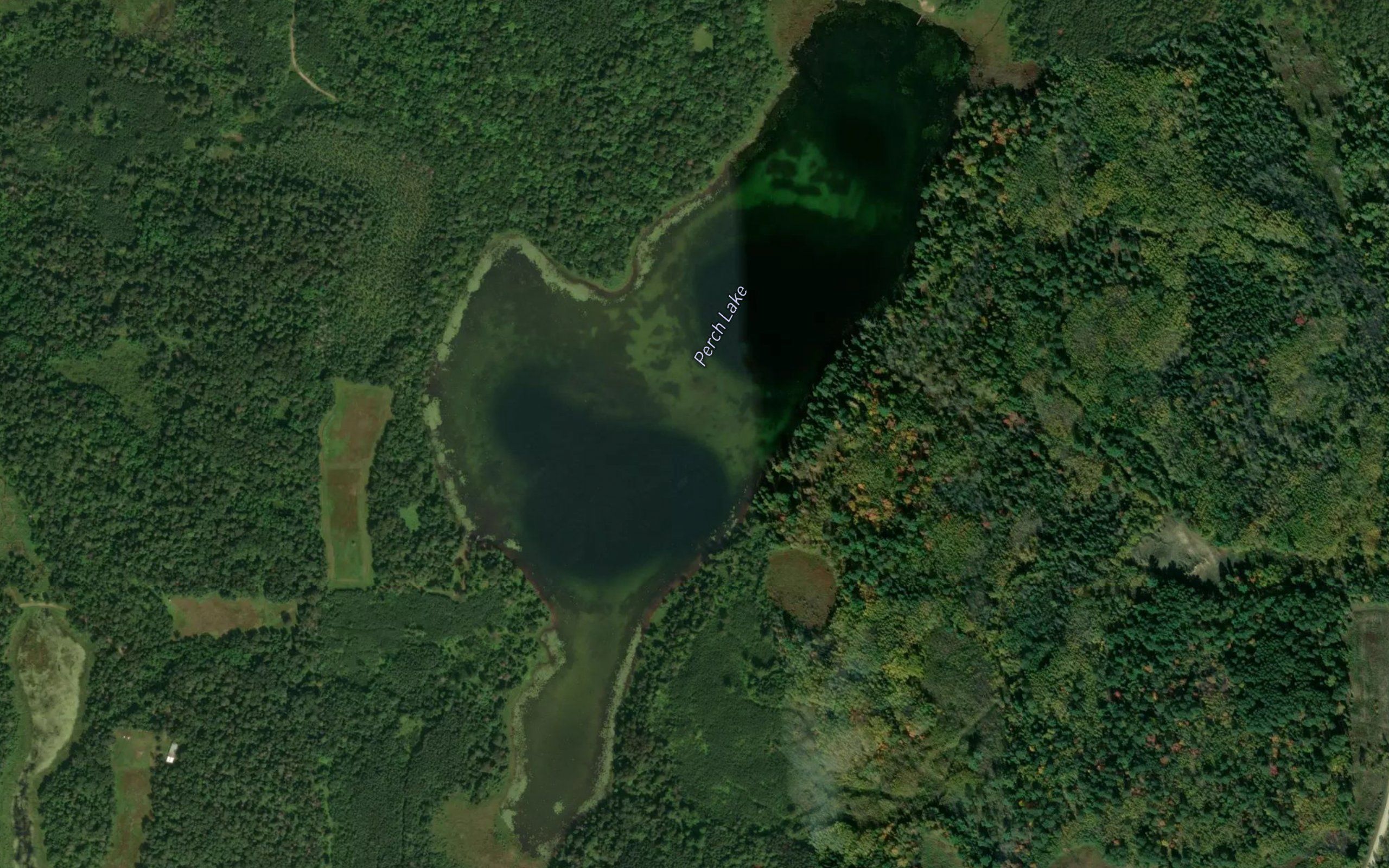 Perch Lake