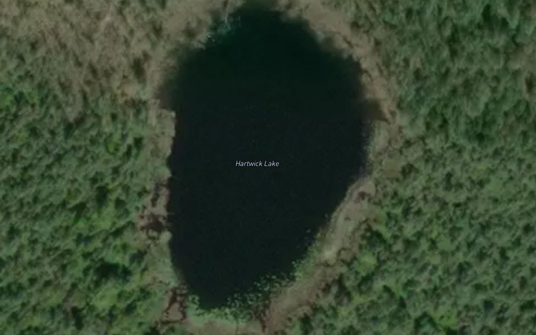 Satellite map of the Hartwick Lake