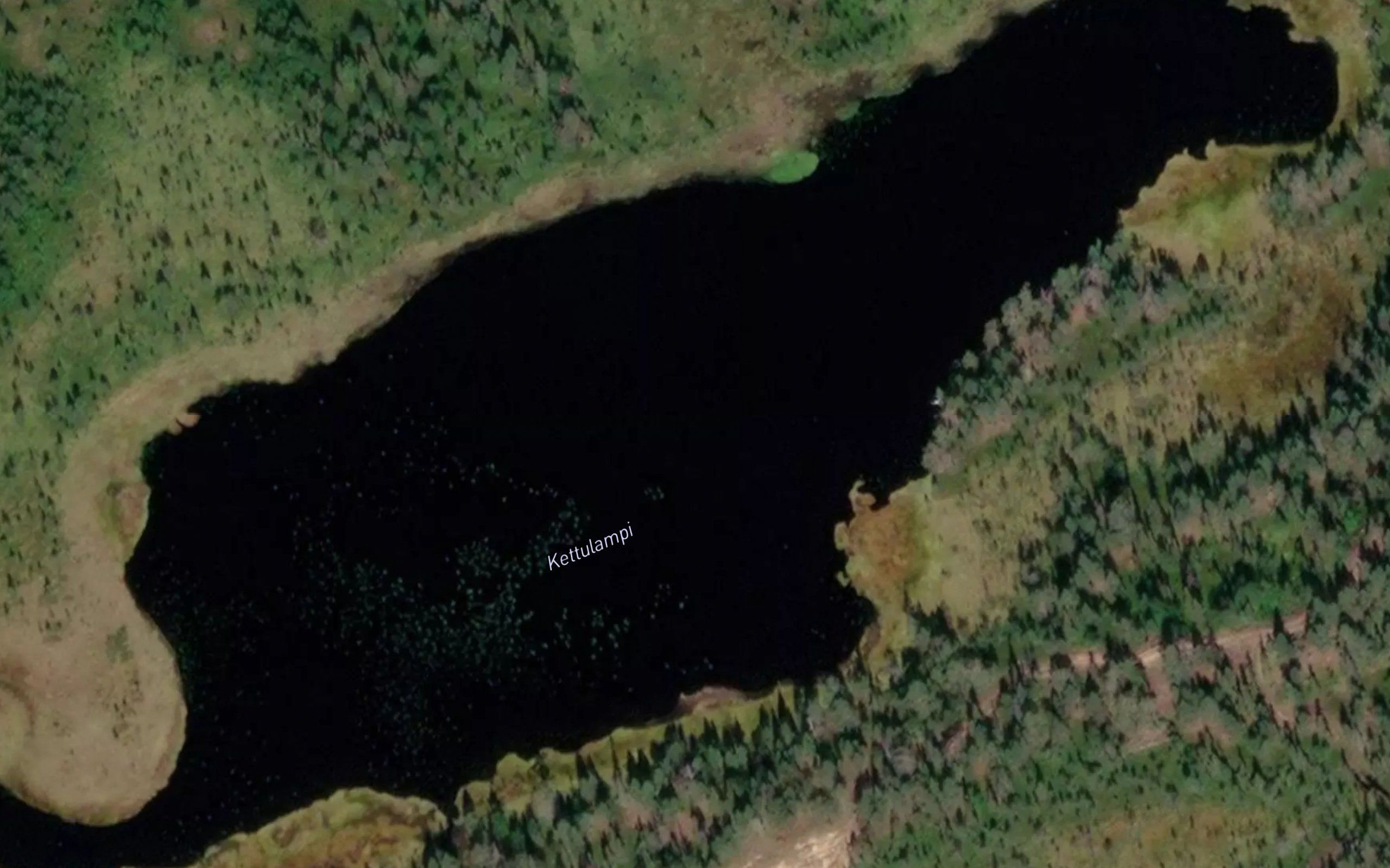 Kettulampi