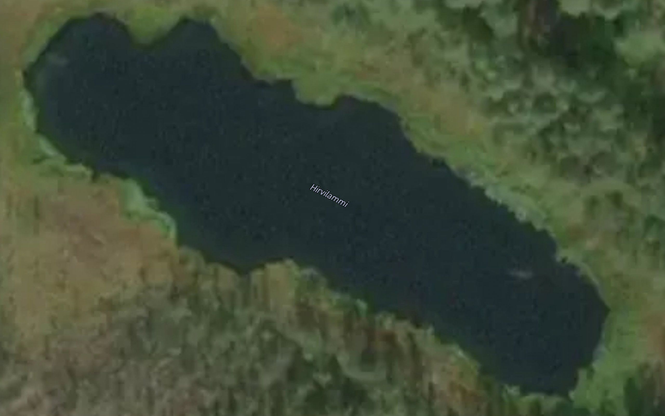 Hirvilammi