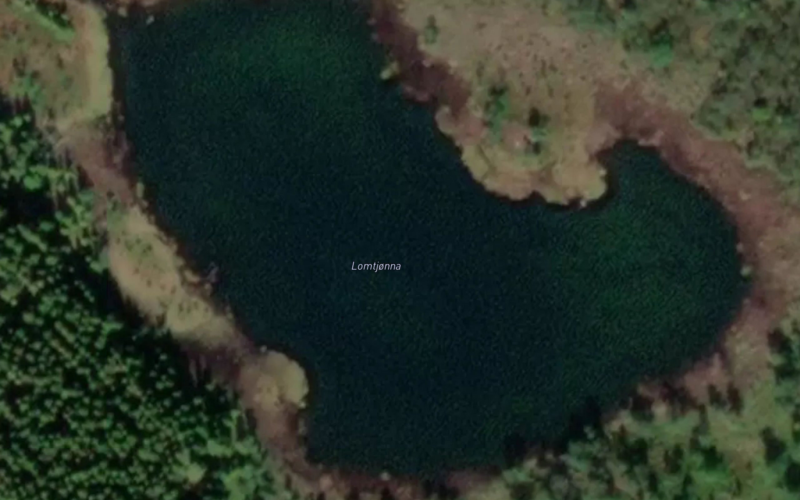 Lomtjorna