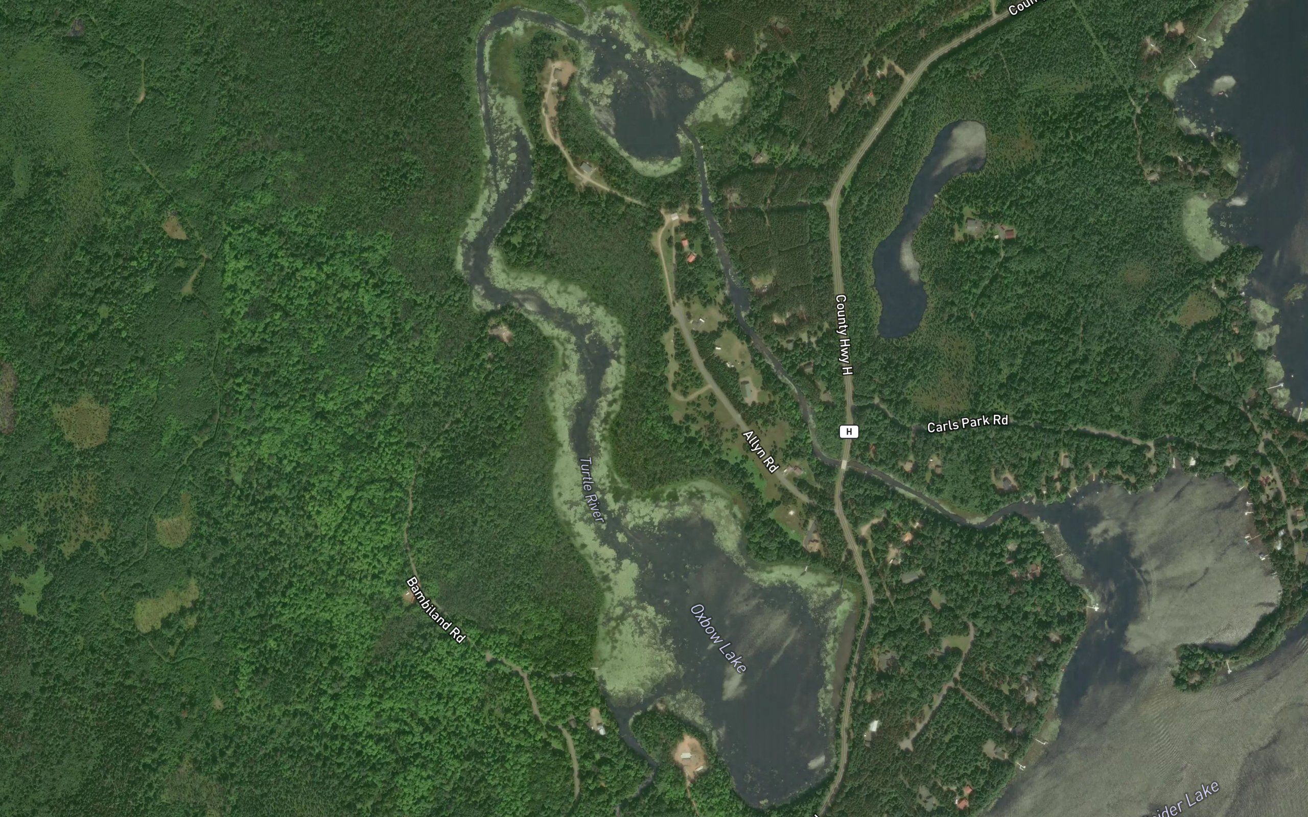 Oxbow Lake