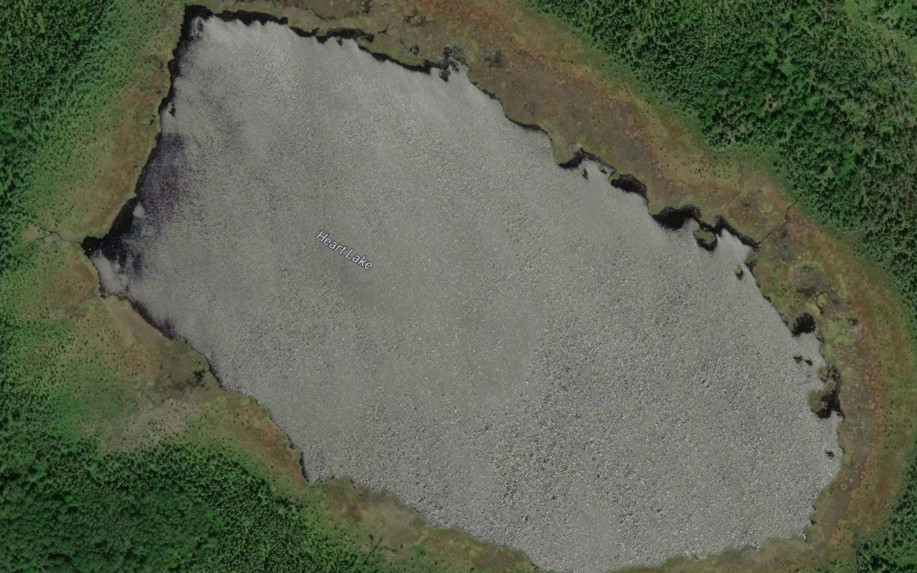 Satellite map of the Heart Lake