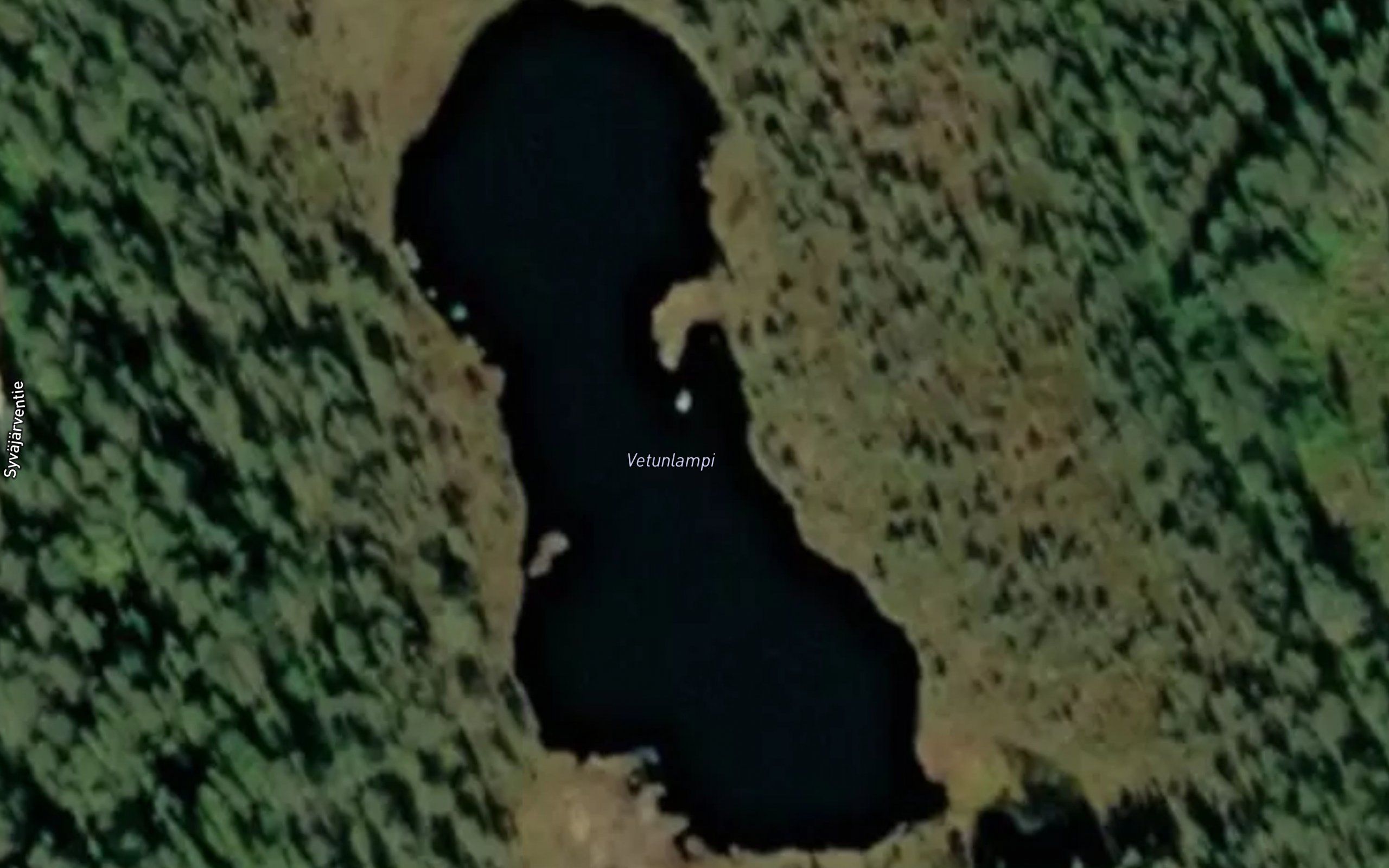 Vetunlampi