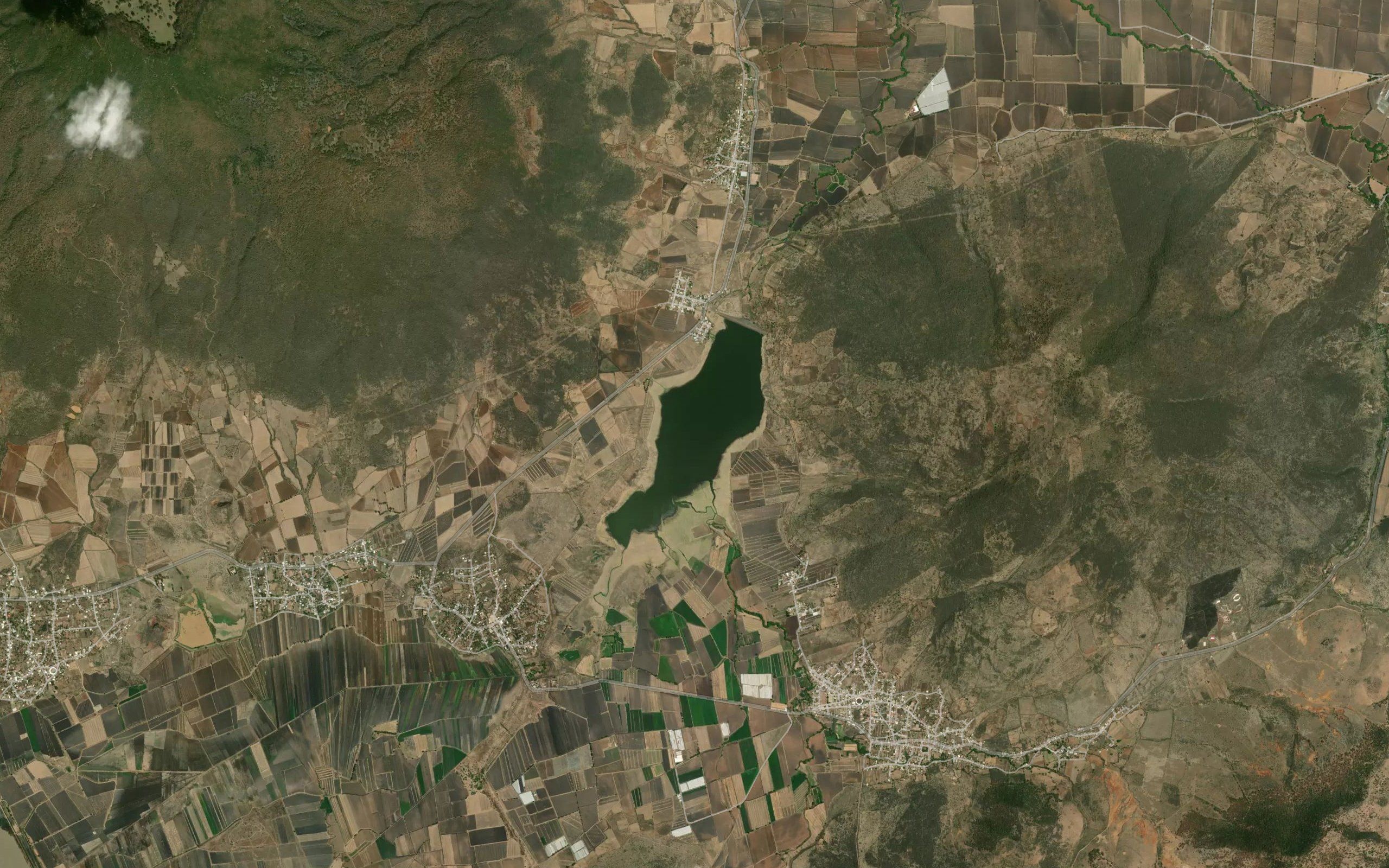La Cofradia