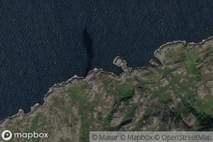 Klubbevika