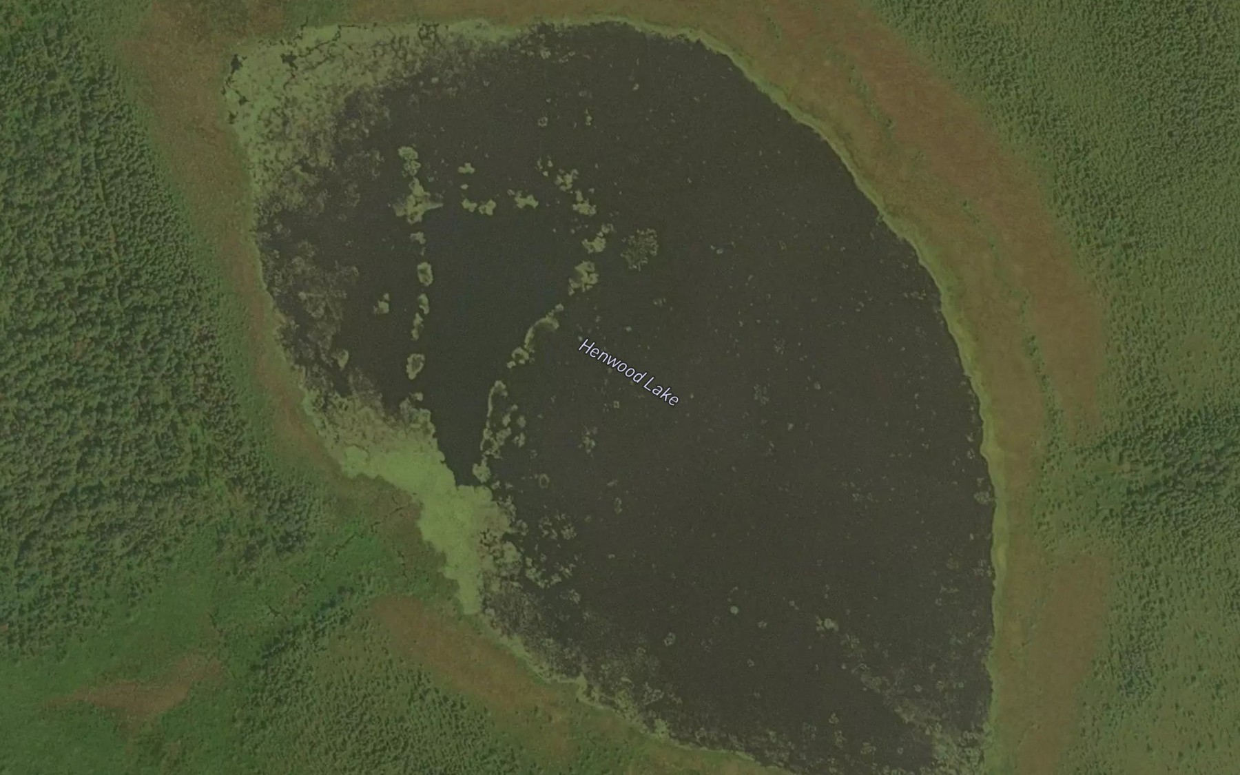 Satellite map of the Henwood Lake