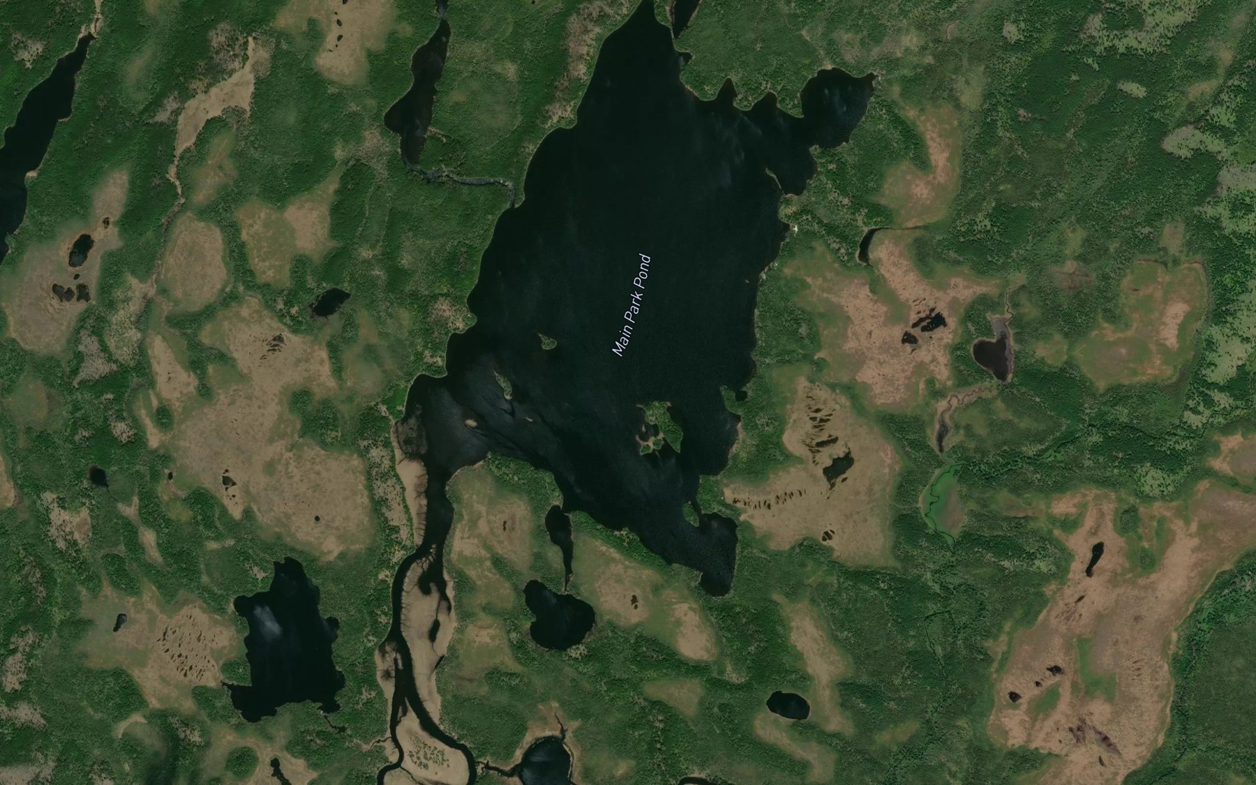 Satellite map of the Main Park Pond