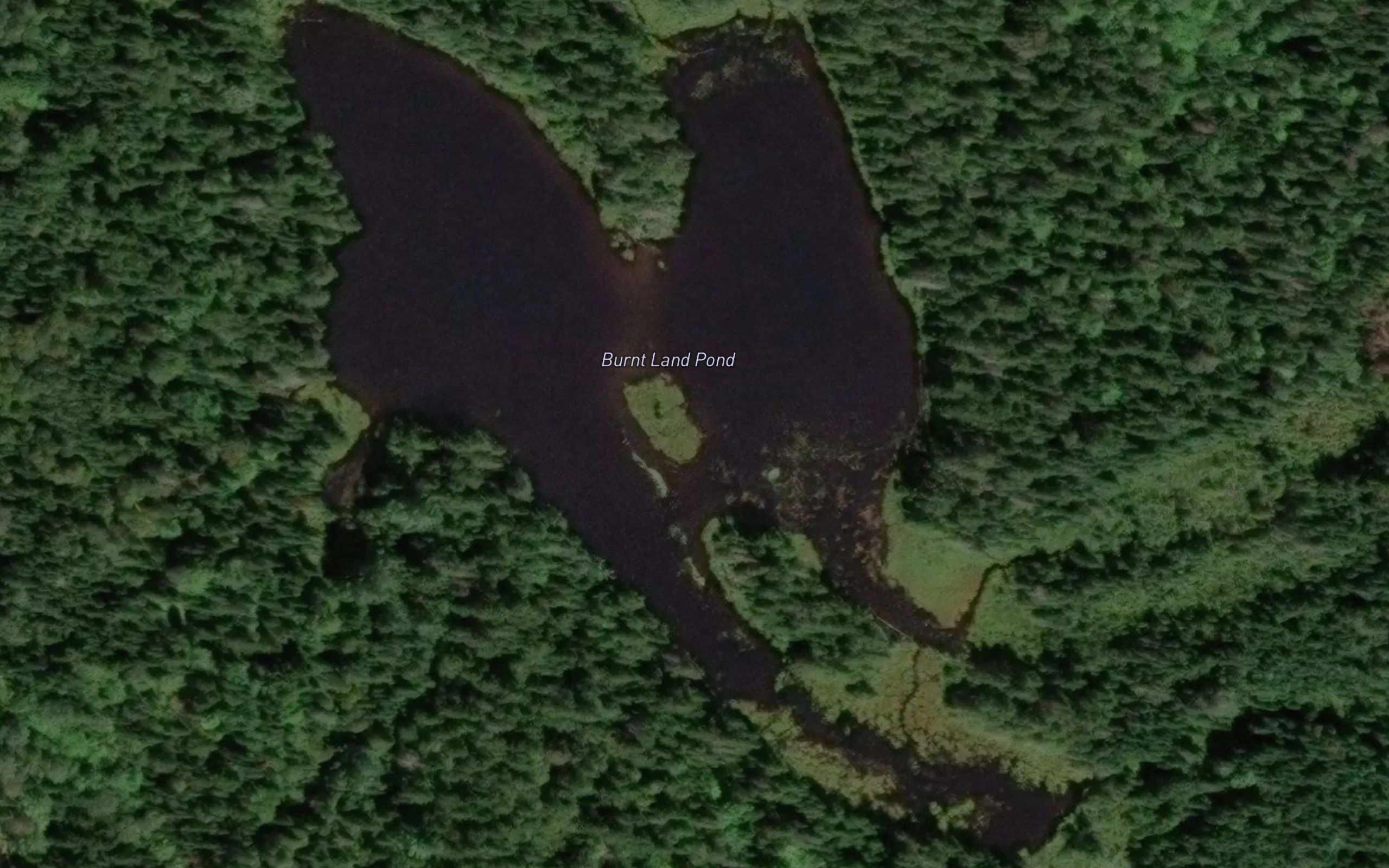 Burnt Land Pond
