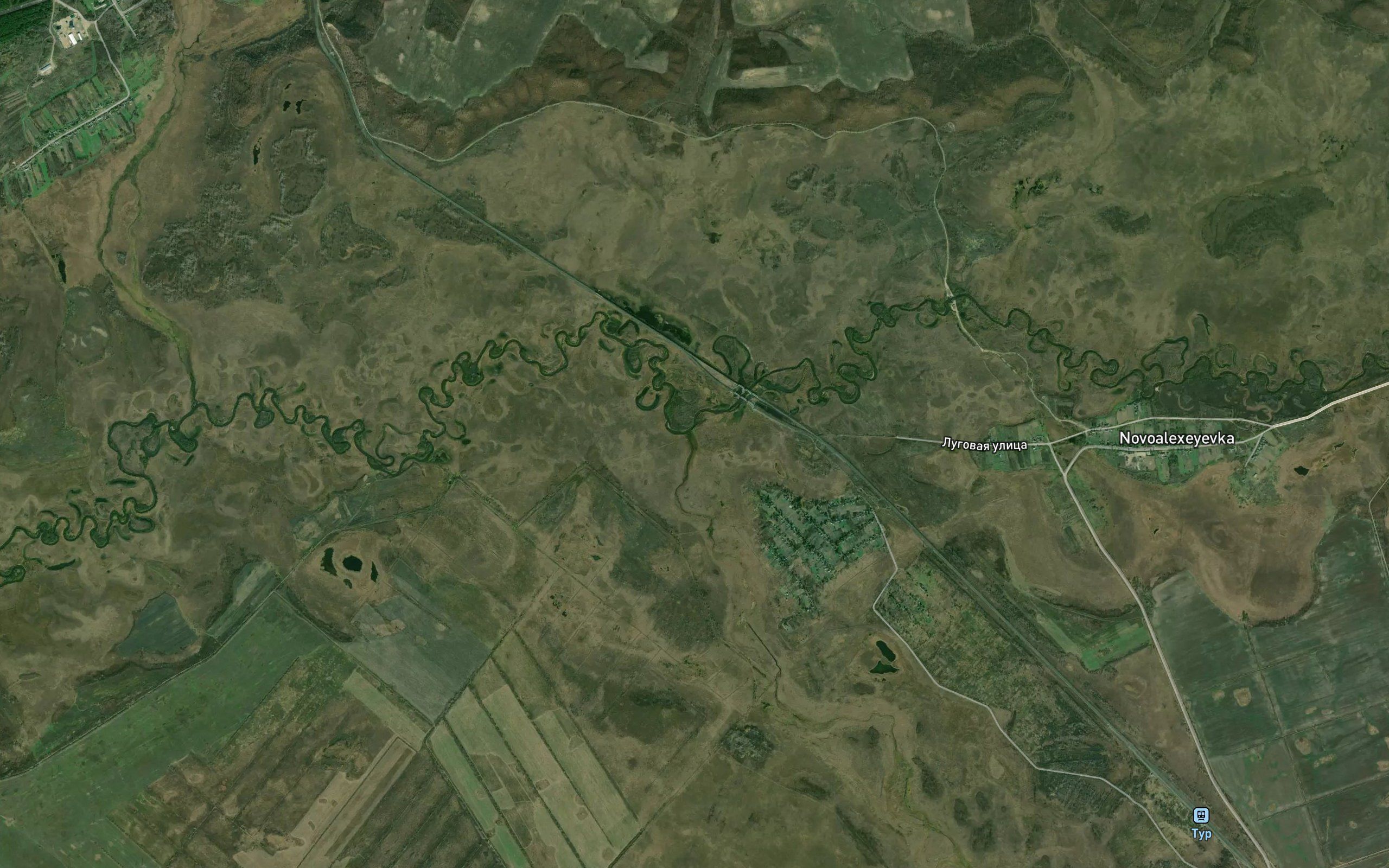 Kamyshinka