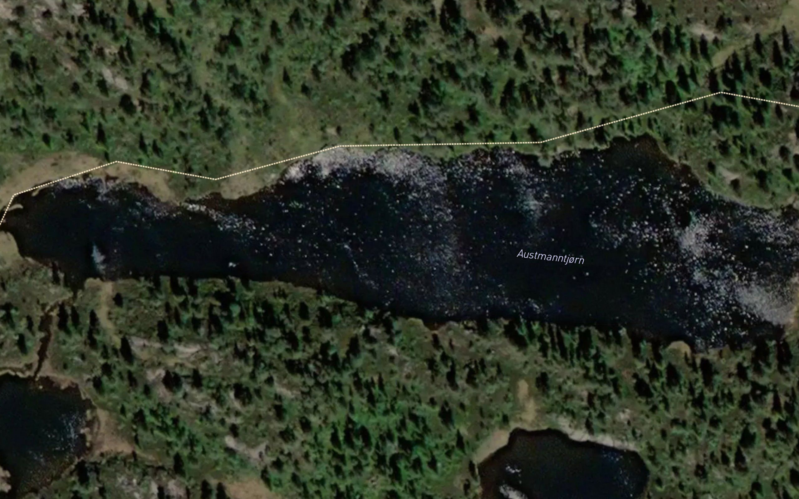 Austmannstjorn