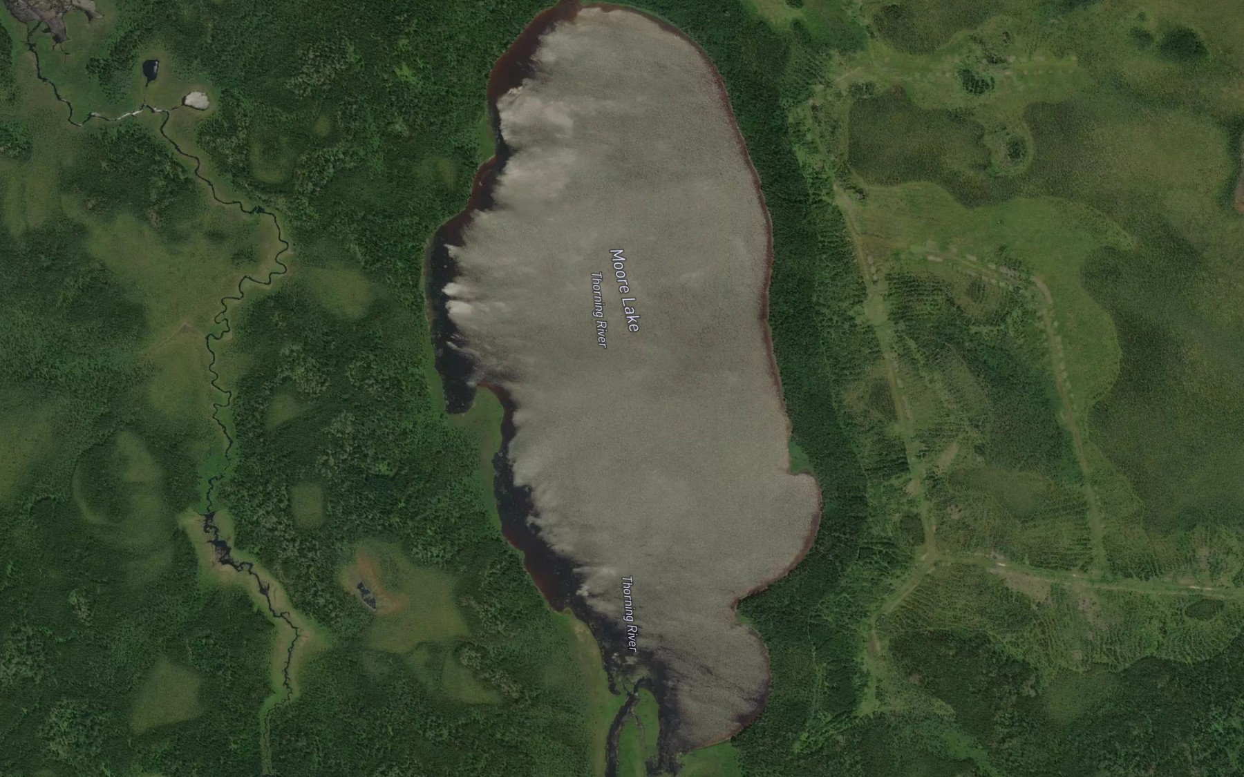 Satellite map of the Moore Lake