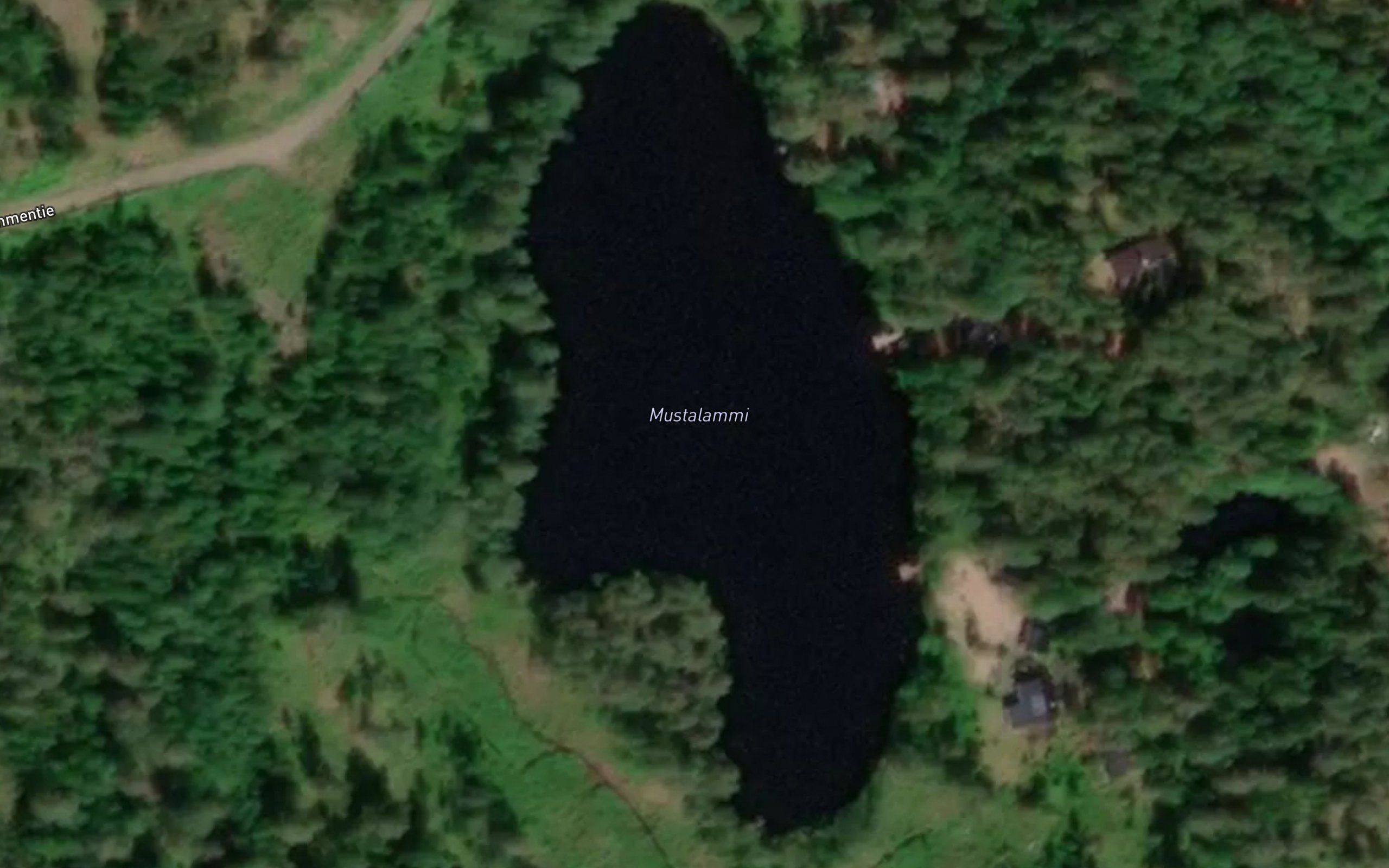 Mustalammi
