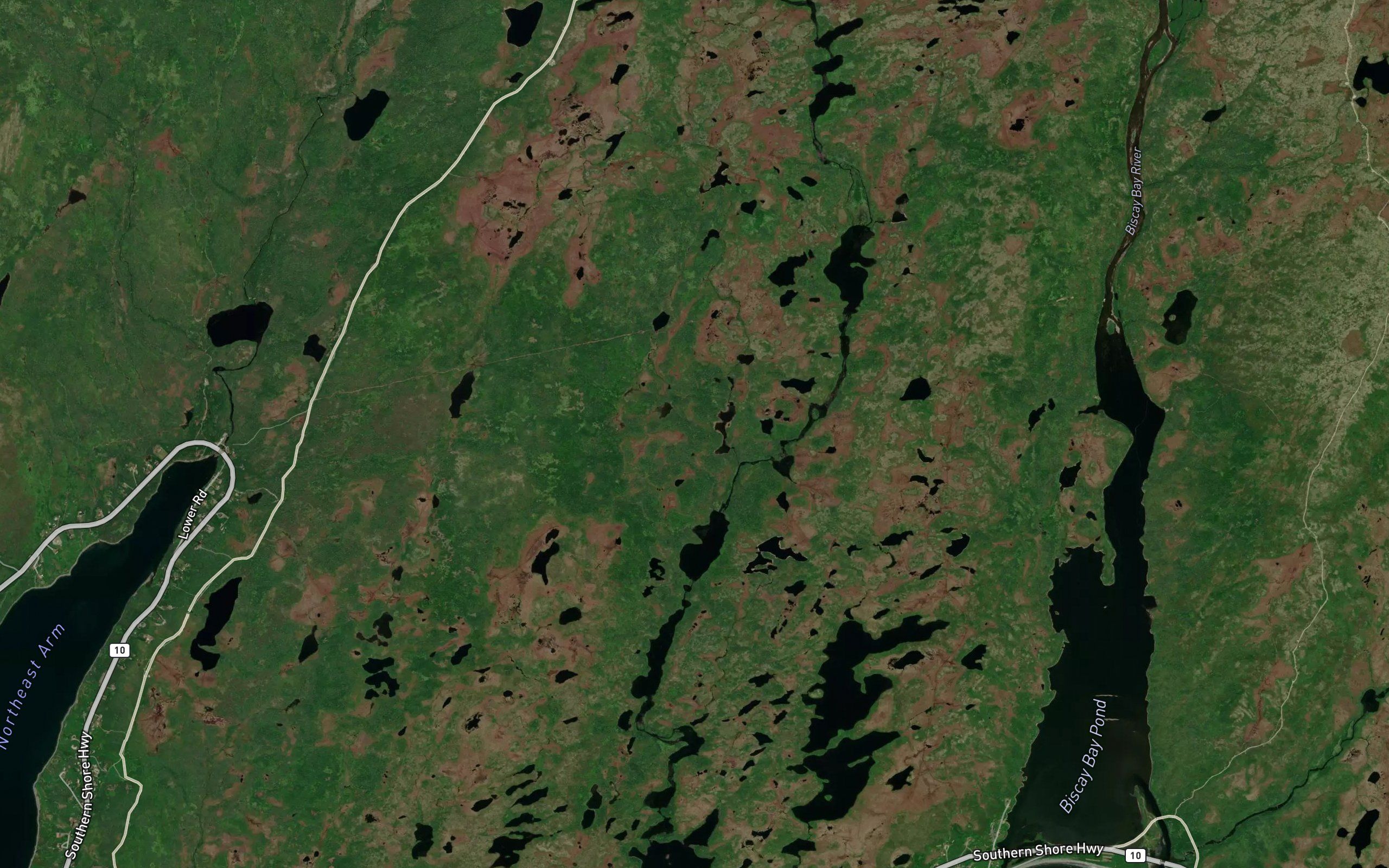 Kennedys Pond