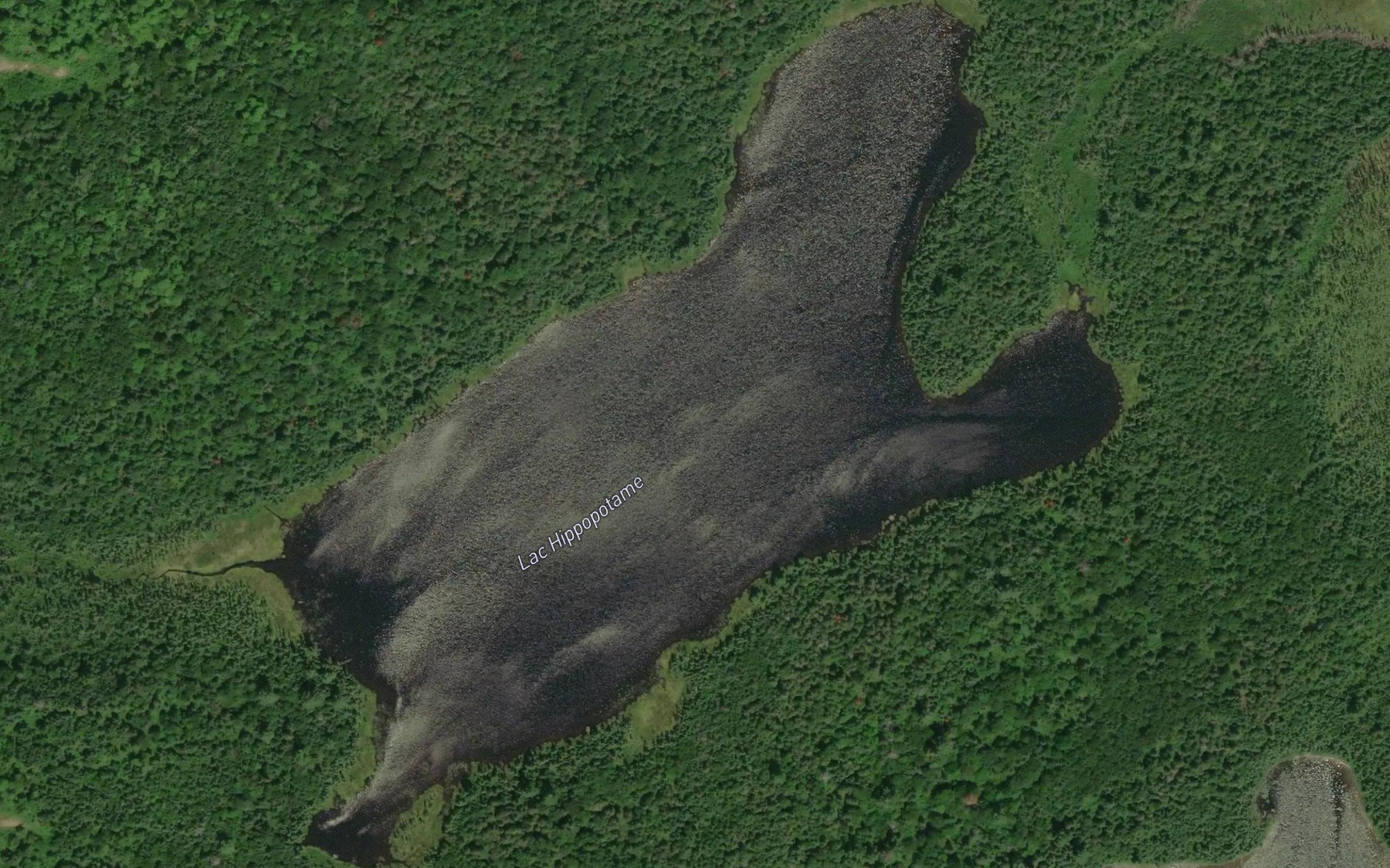Satellite map of the Lac Hippopotame