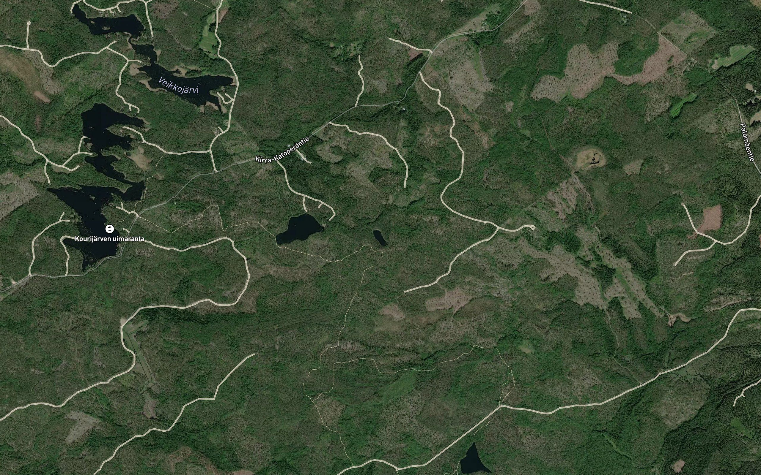 Rottalammi
