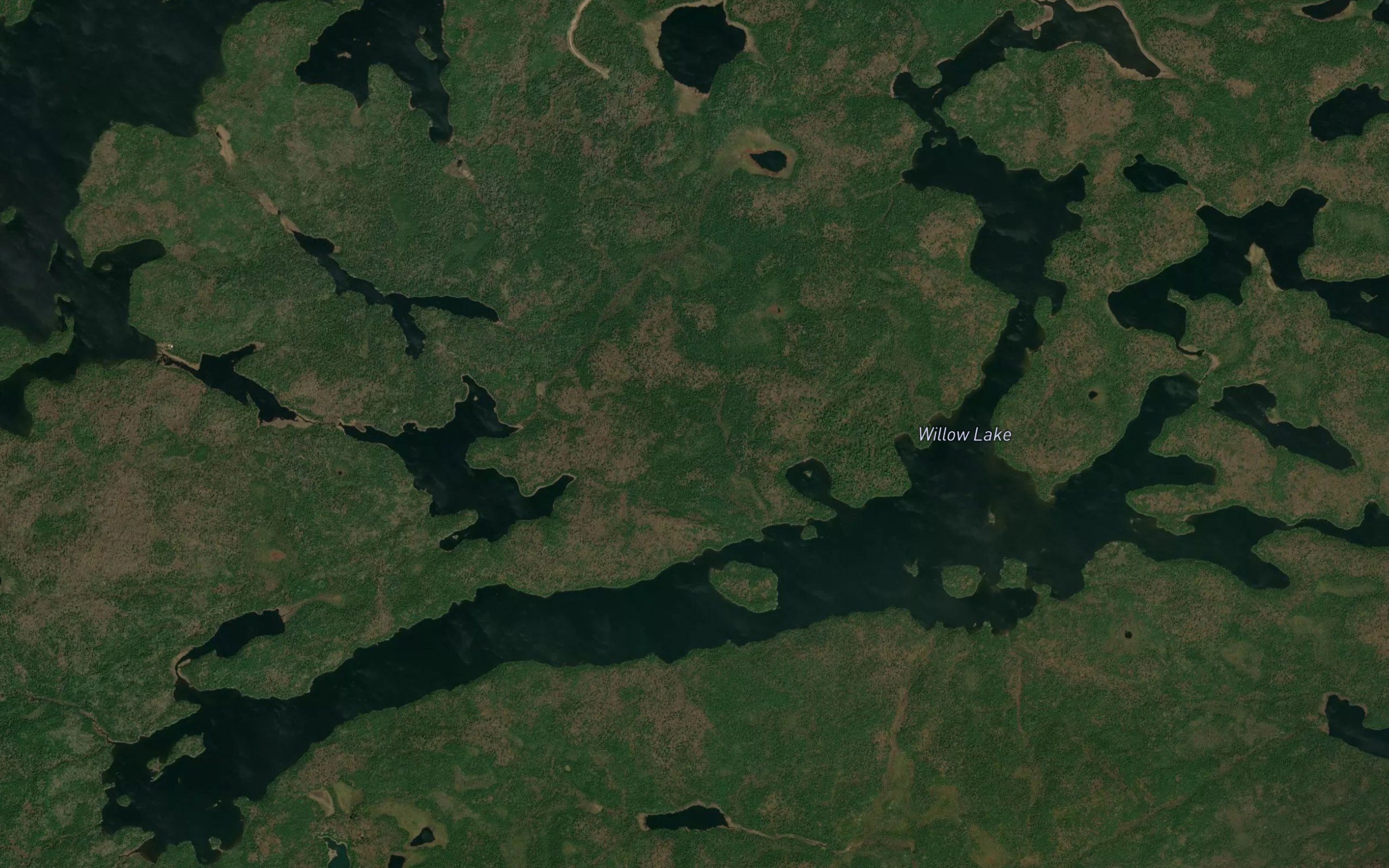 Willow Lake