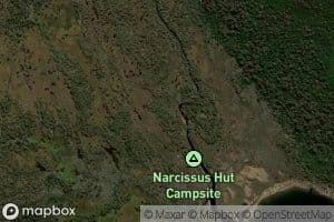 Narcissus Bay