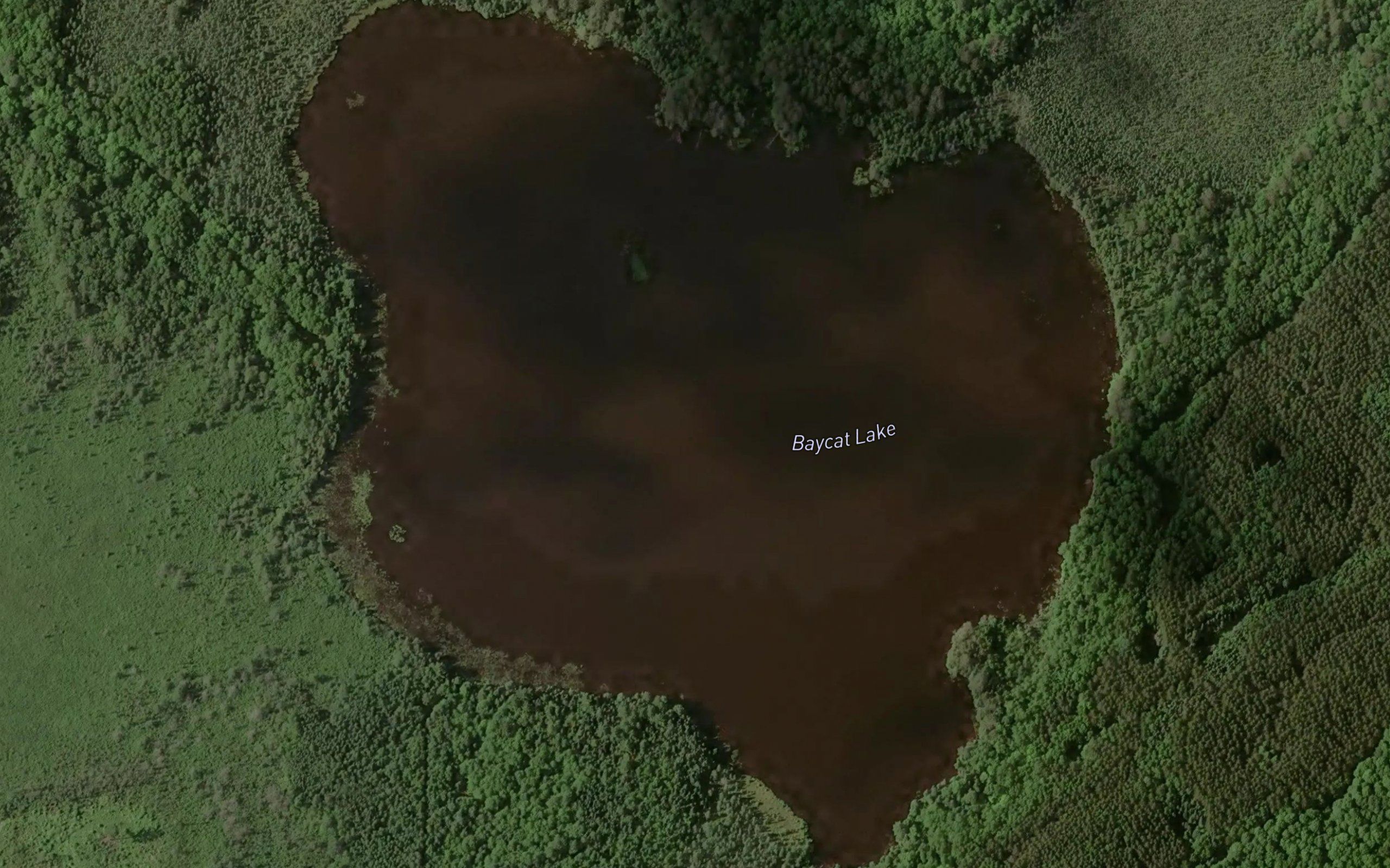 Baycat Lake