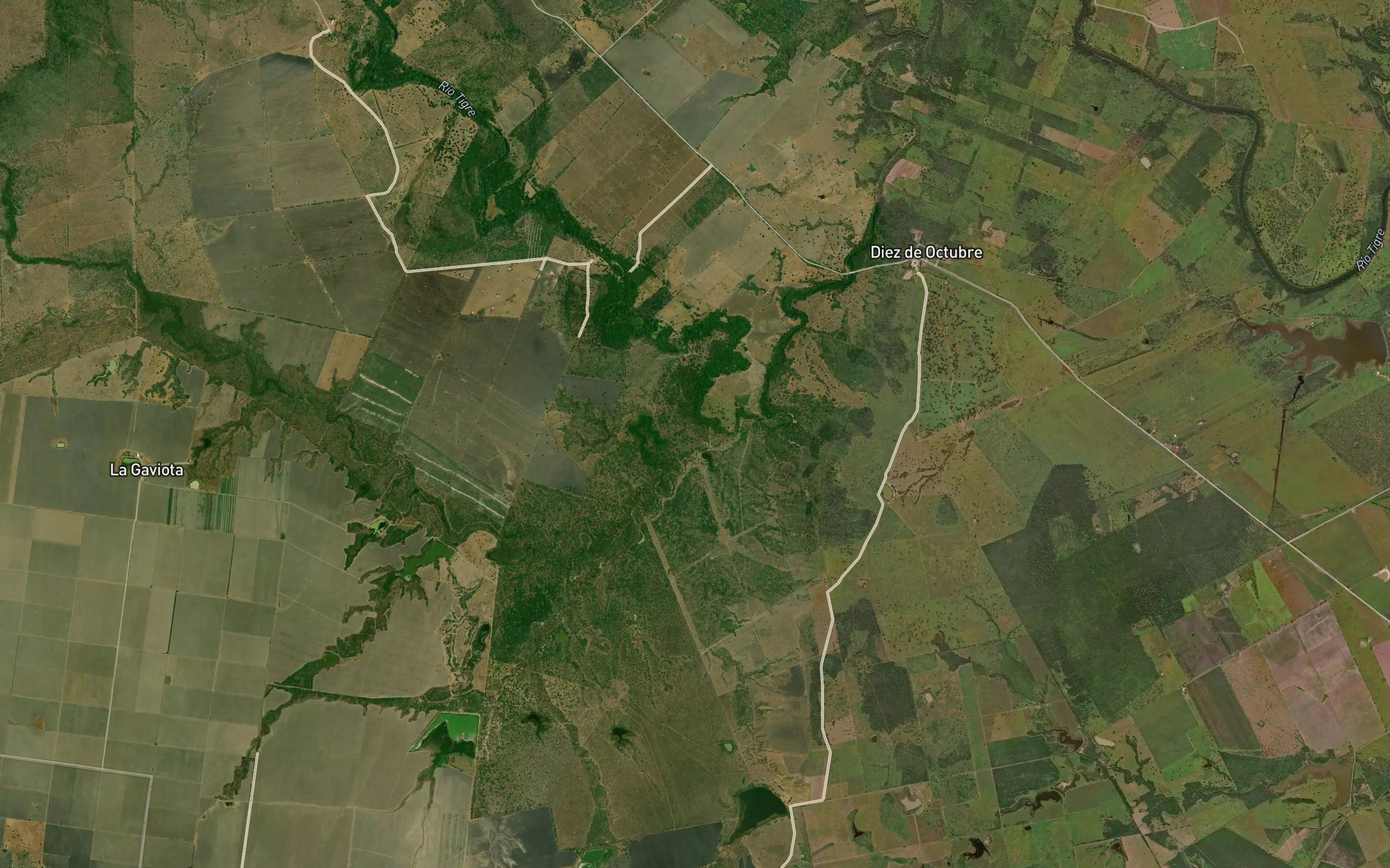 Arroyo Raya del Chapopote