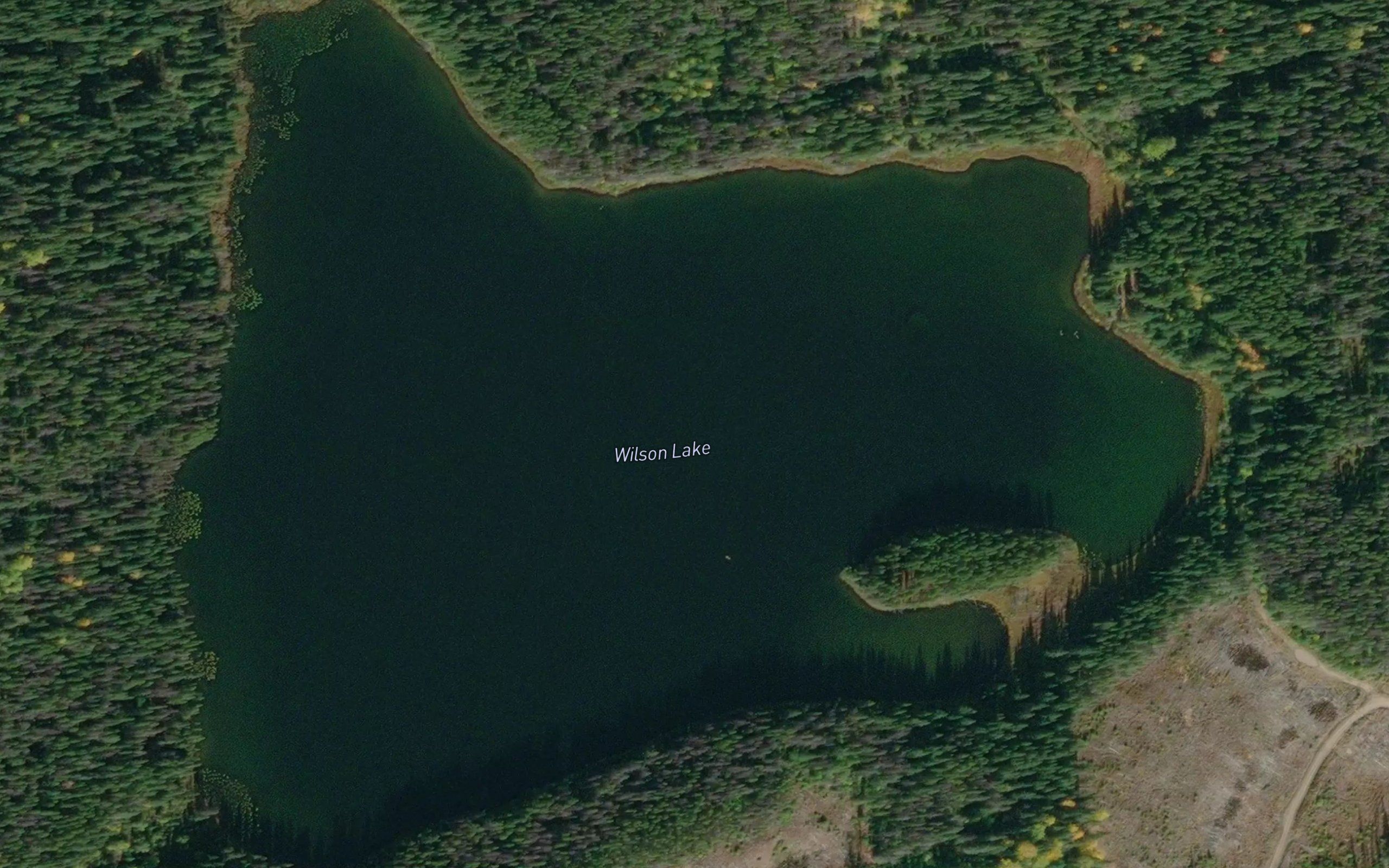 Wilson Lake