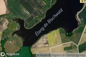 Etang de Bischwald