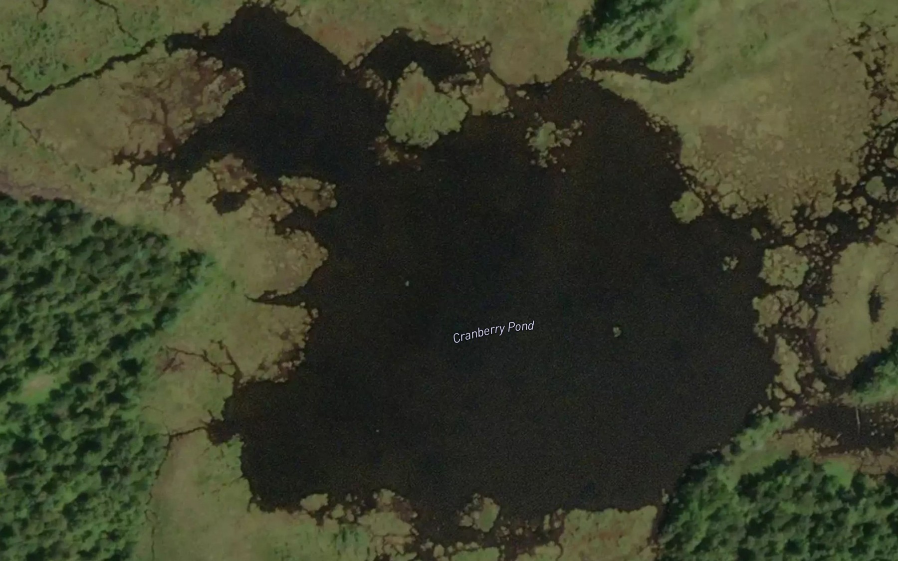 Cranberry Pond Fishing near Hannawa Falls, NY | Fishbox
