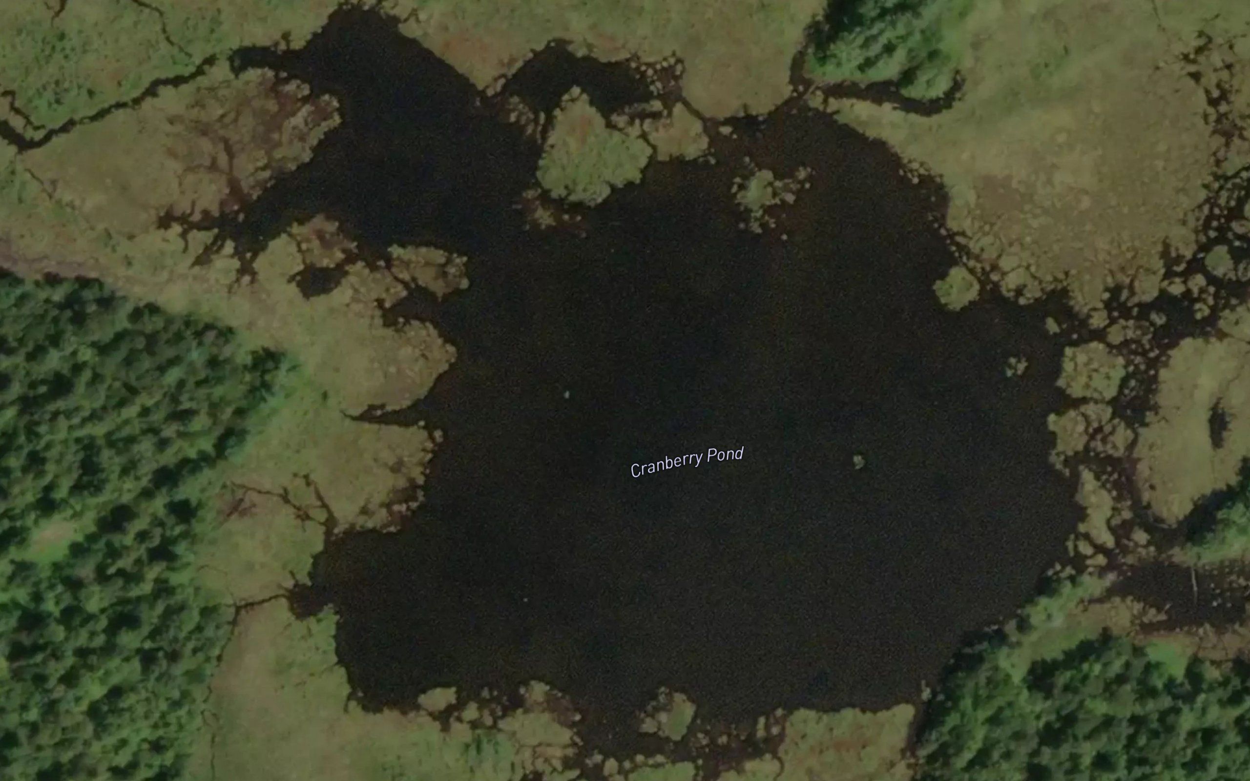 Cranberry Pond