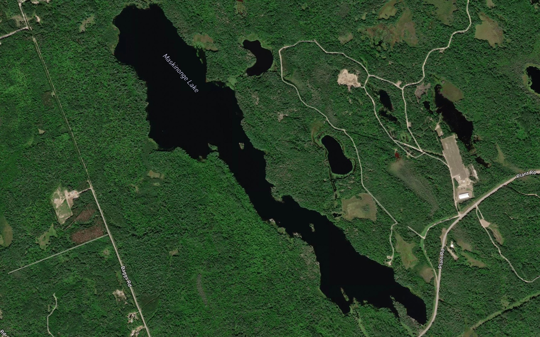 Satellite map of the Maskinonge Lake
