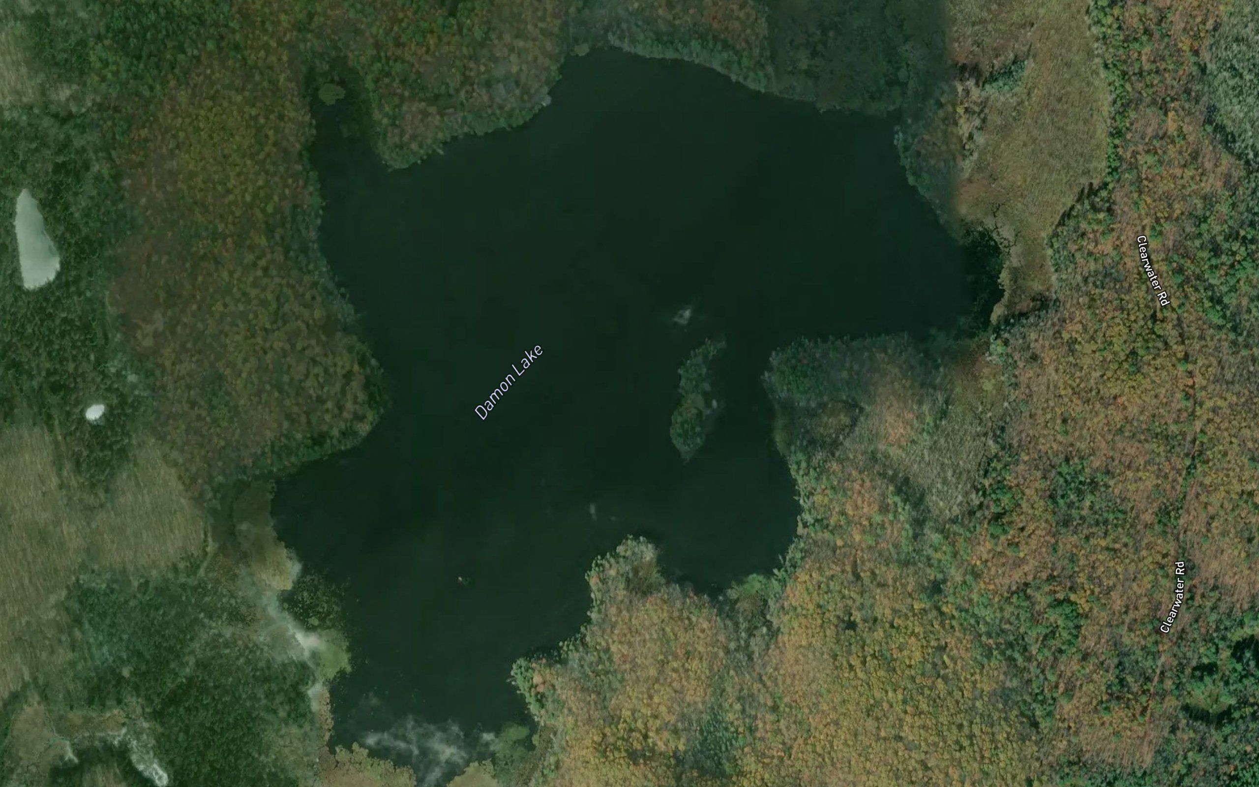 Damon Lake