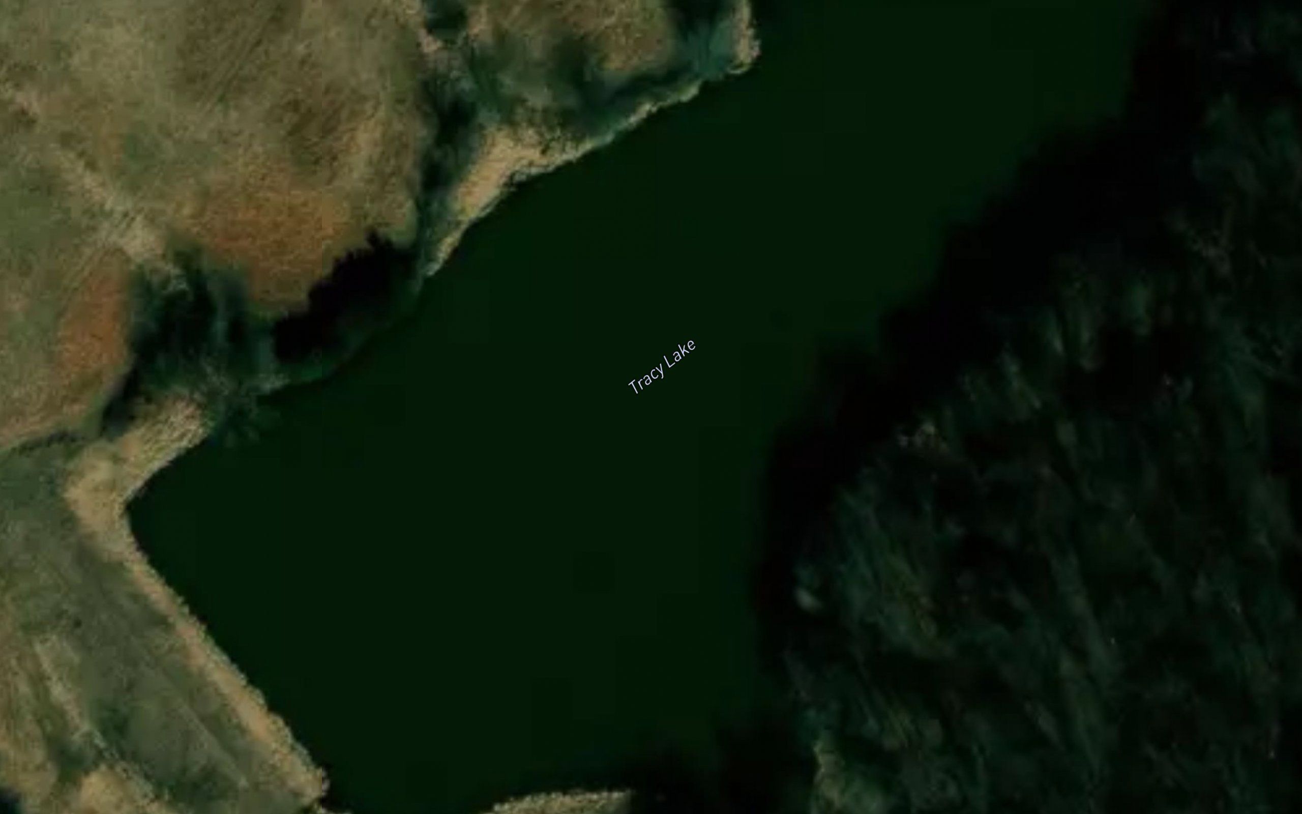 Tracy Lake