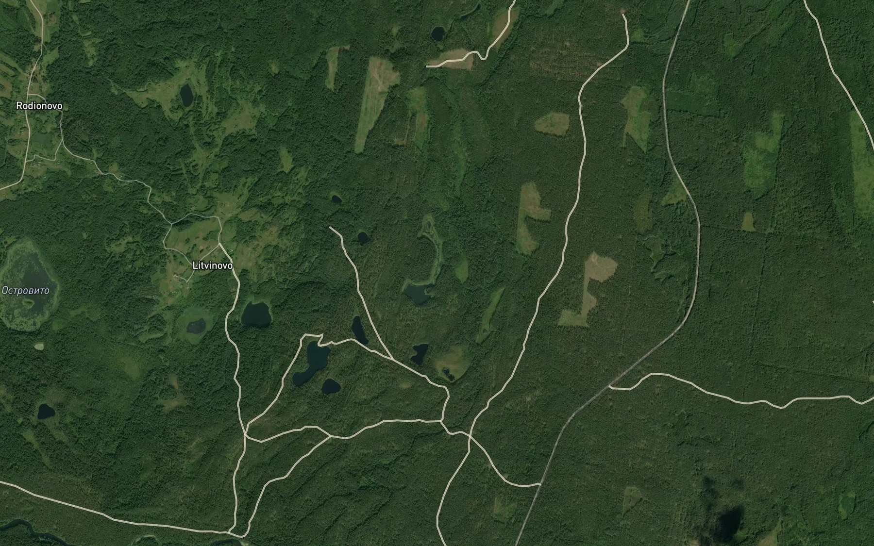 Satellite map of the Ozero Izdrannoye