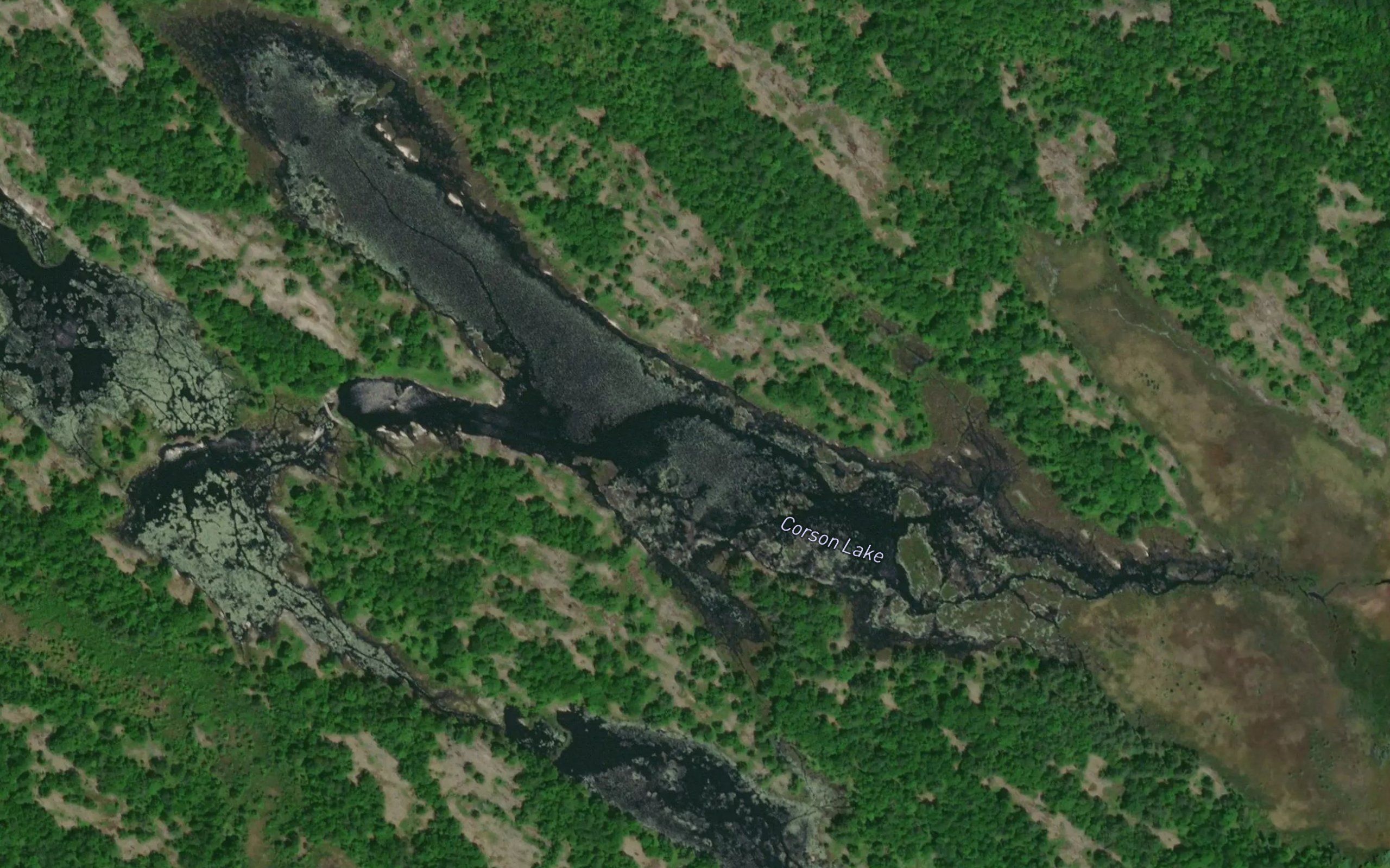 Corson Lake