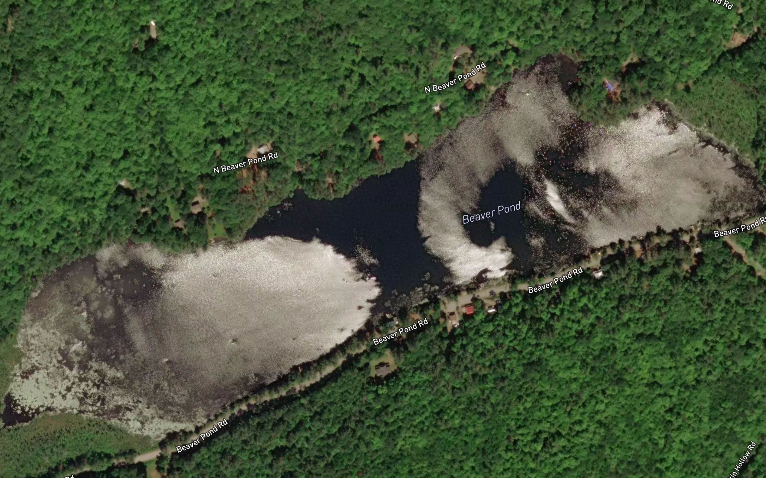 Beaver Pond
