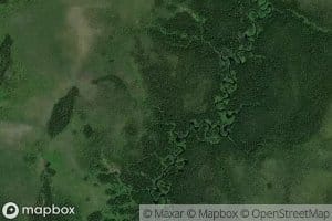 Wishbone Creek