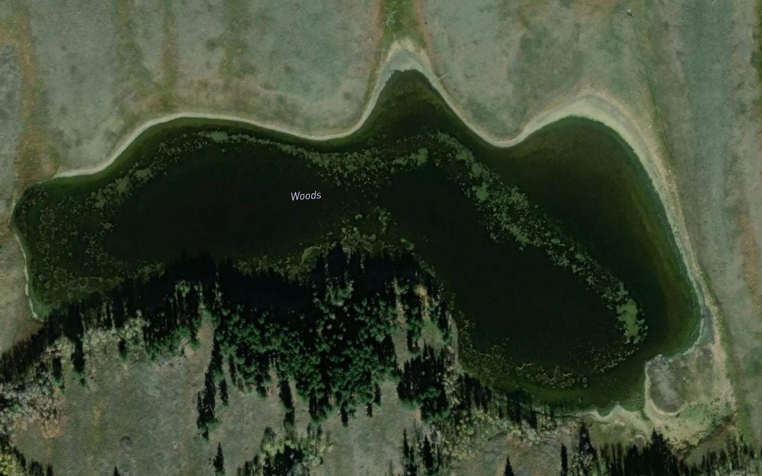 Lake of the Woods