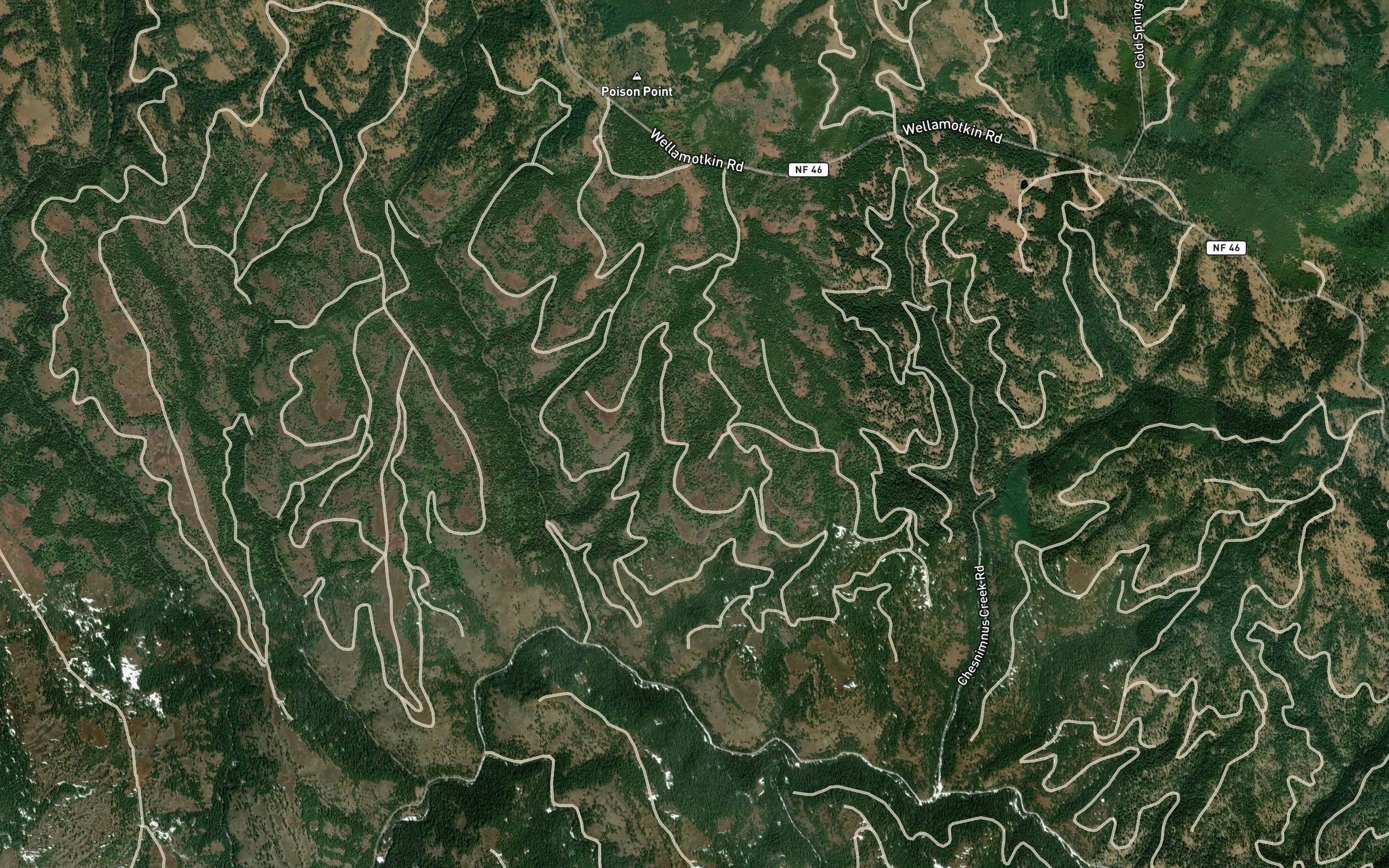 Bear Paw Spring